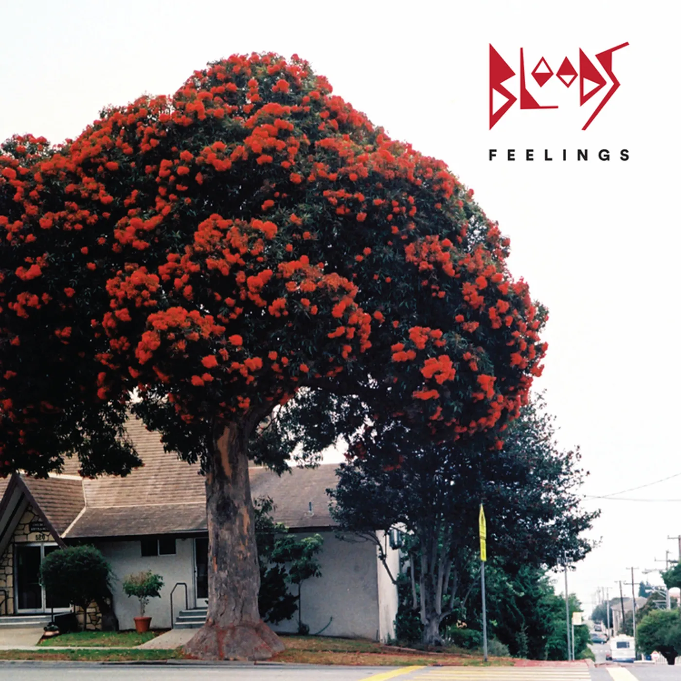 Bloods FEELINGS CD
