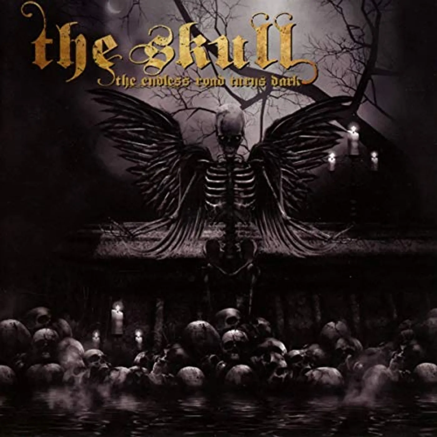The Skull ENDLESS ROAD TURNS DARK CD