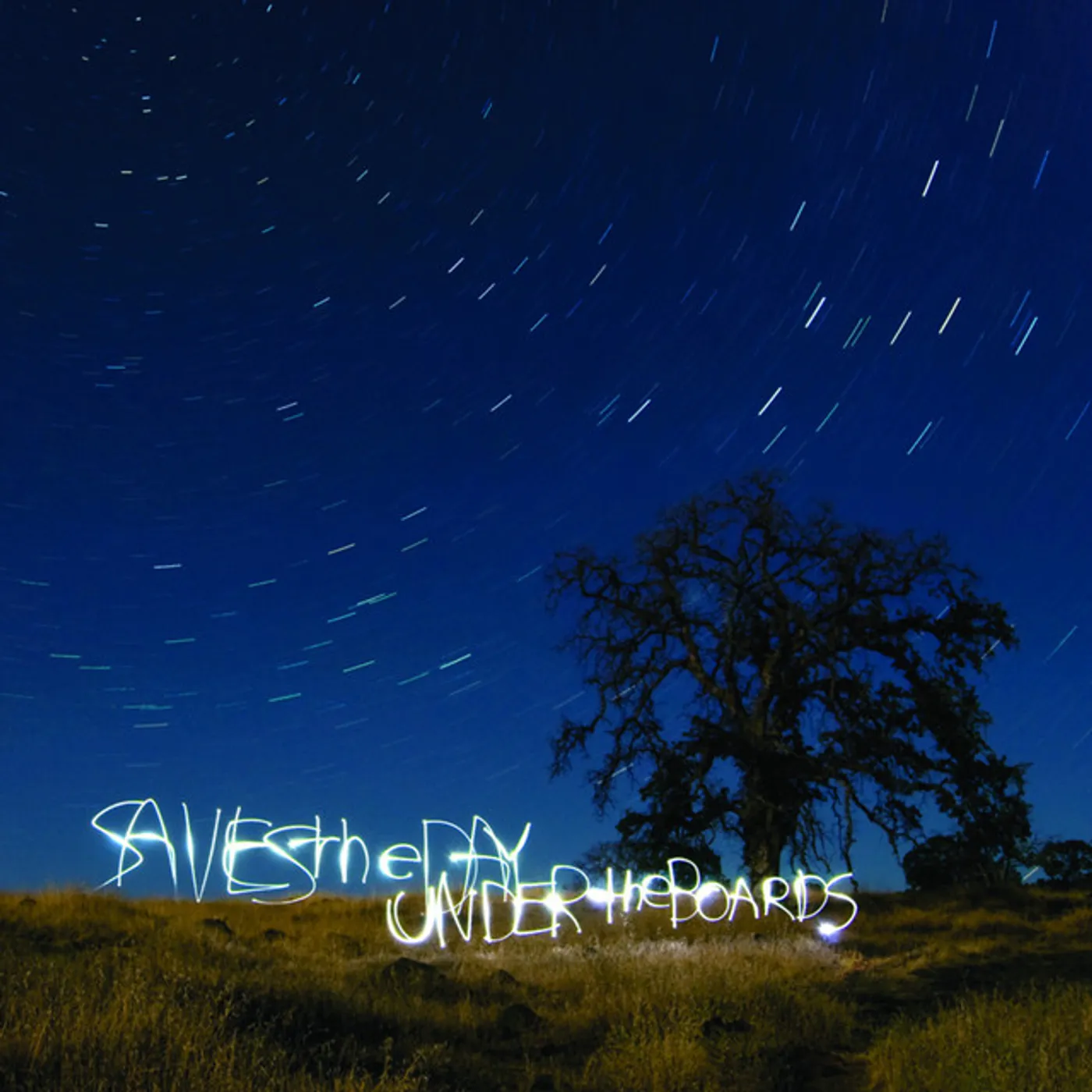Saves The Day Under The Boards Vinyl Record