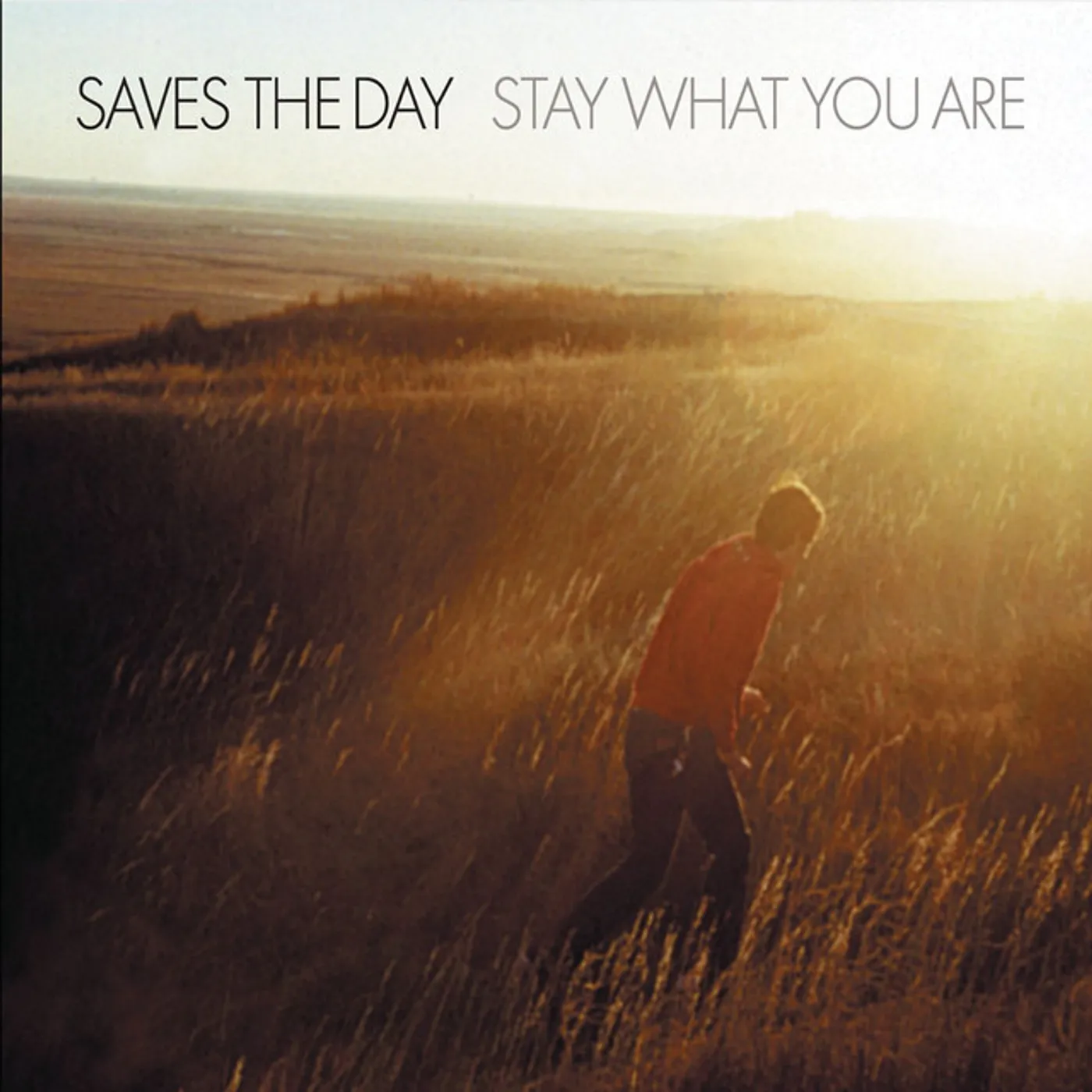 Saves The Day Stay What You Are Vinyl Record