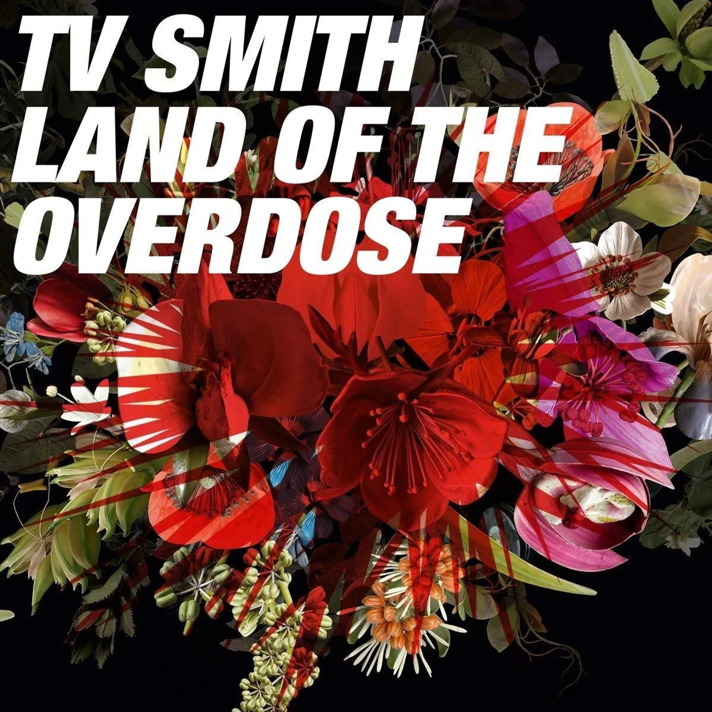TV Smith LAND OF THE OVERDOSE CD