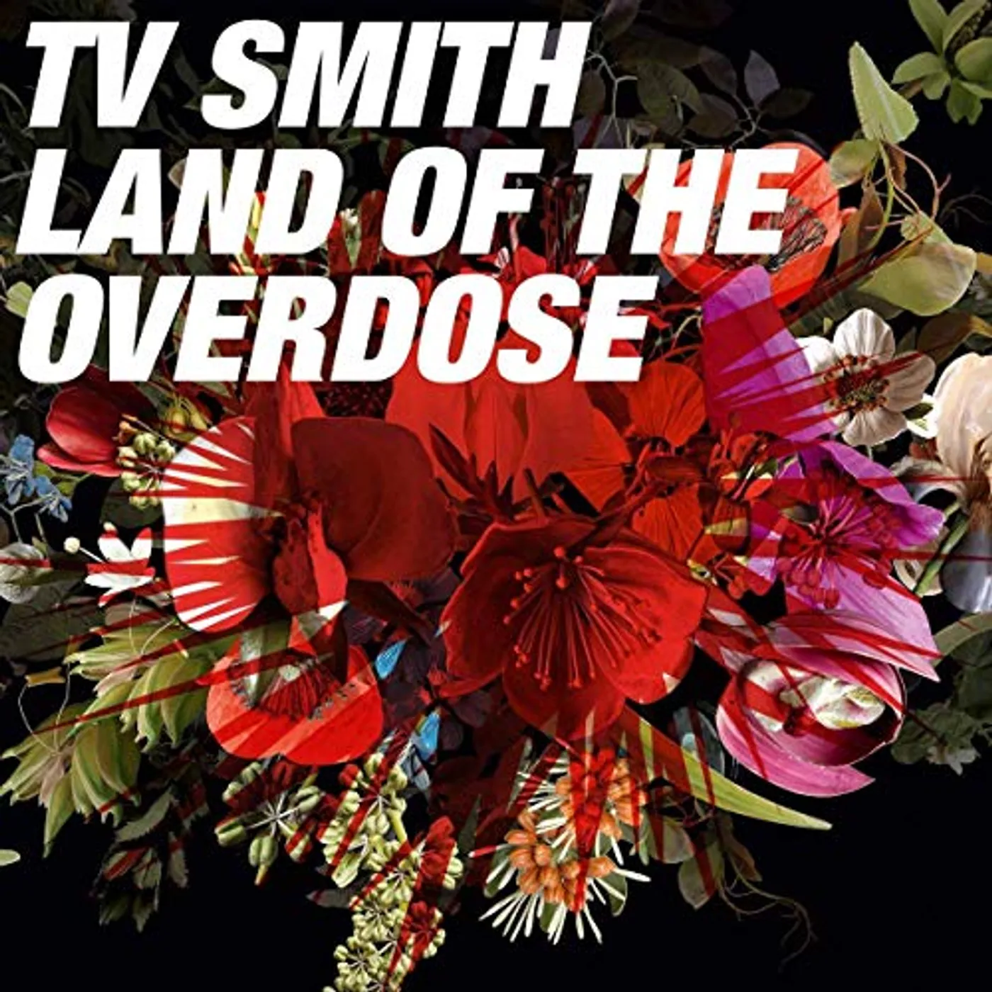 T.V. Smith Land Of The Overdose Vinyl Record