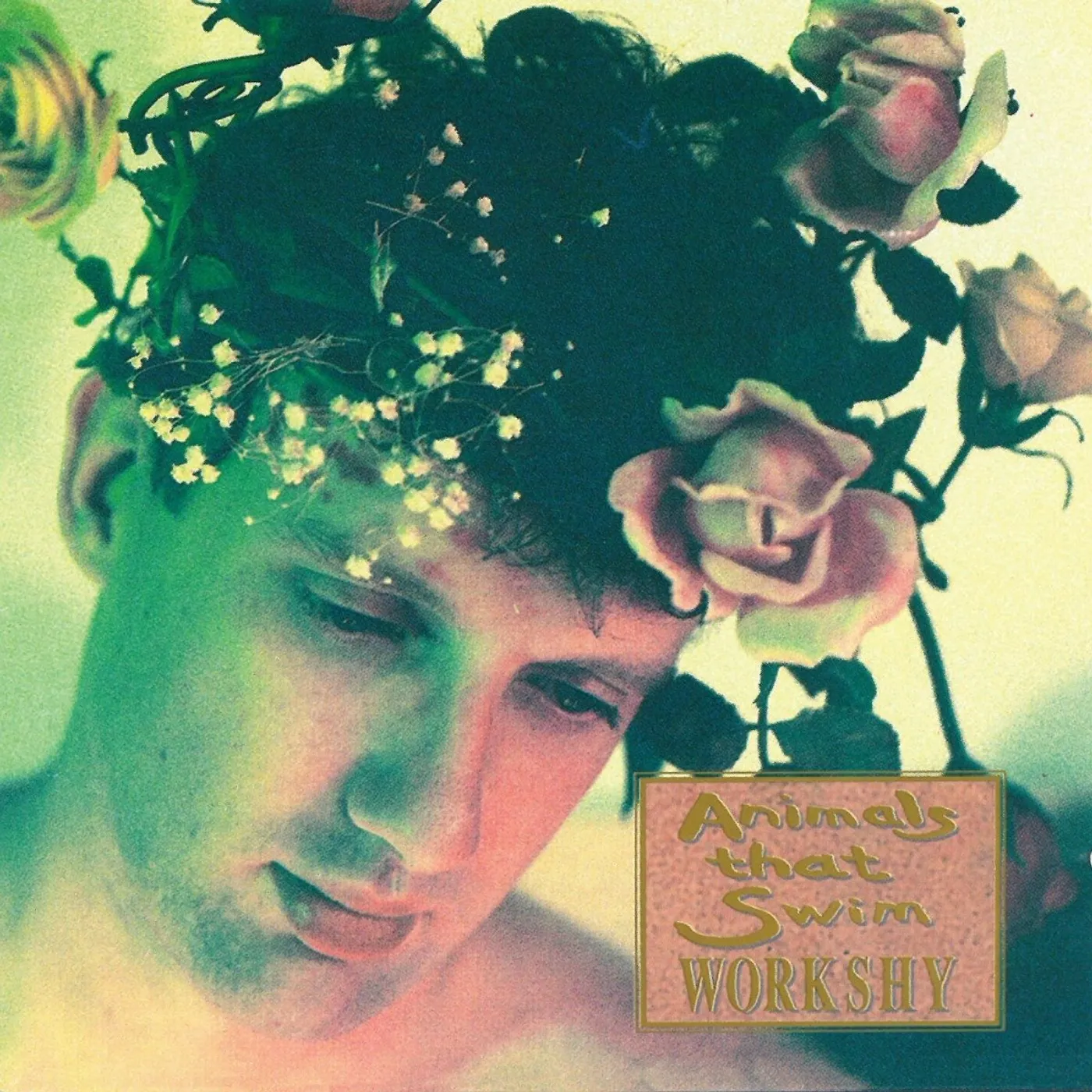 Animals That Swim WORKSHY CD