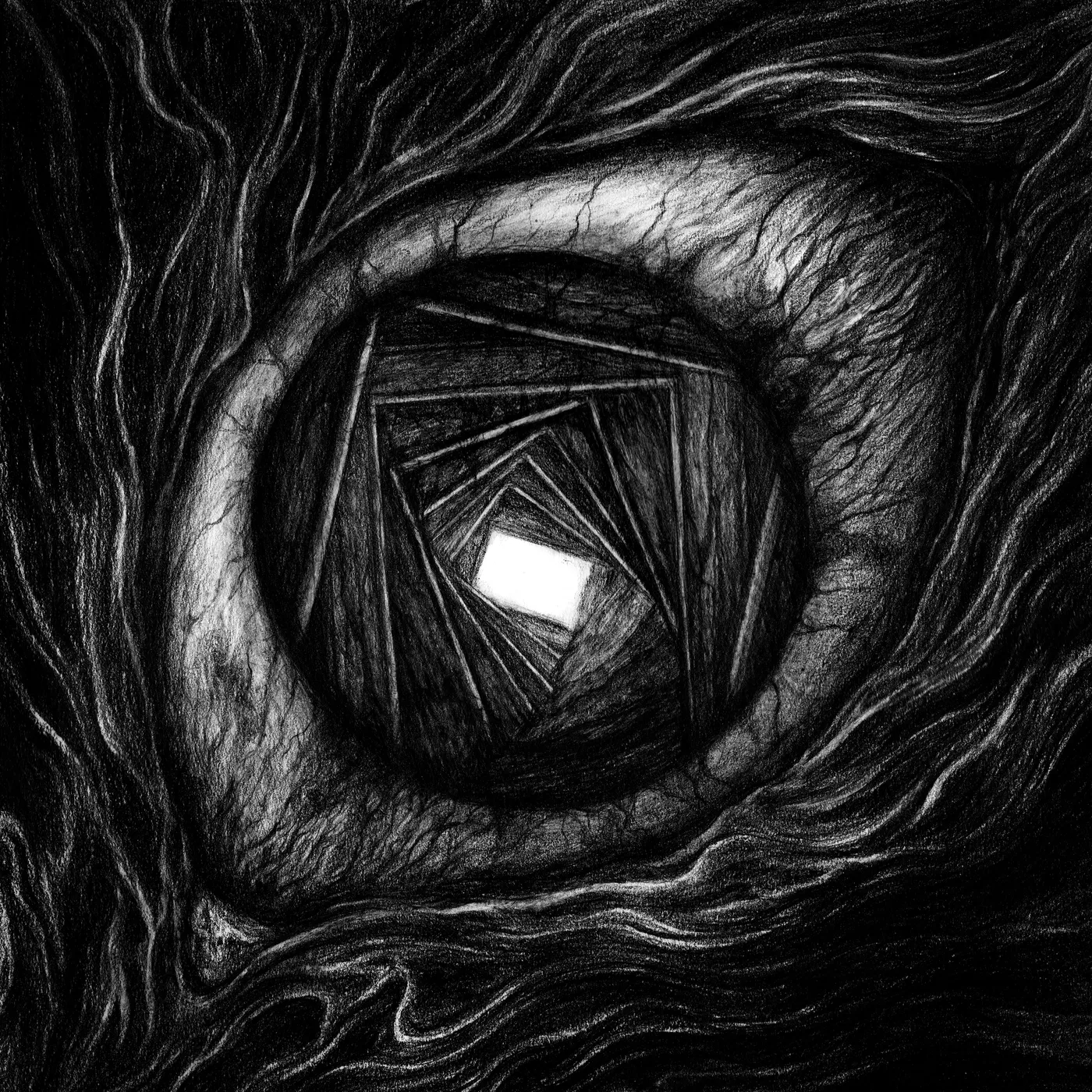 Carpe Noctem VITRUN CD