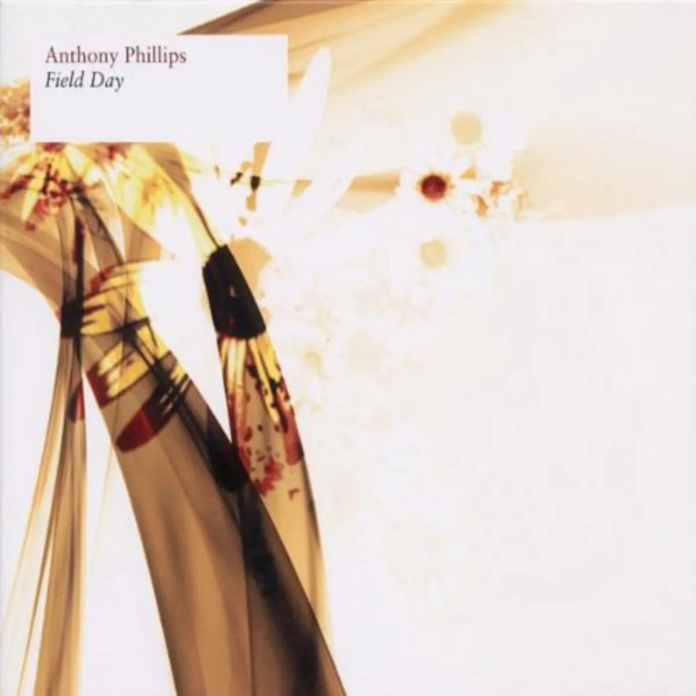 Anthony Phillips FIELD DAY CD