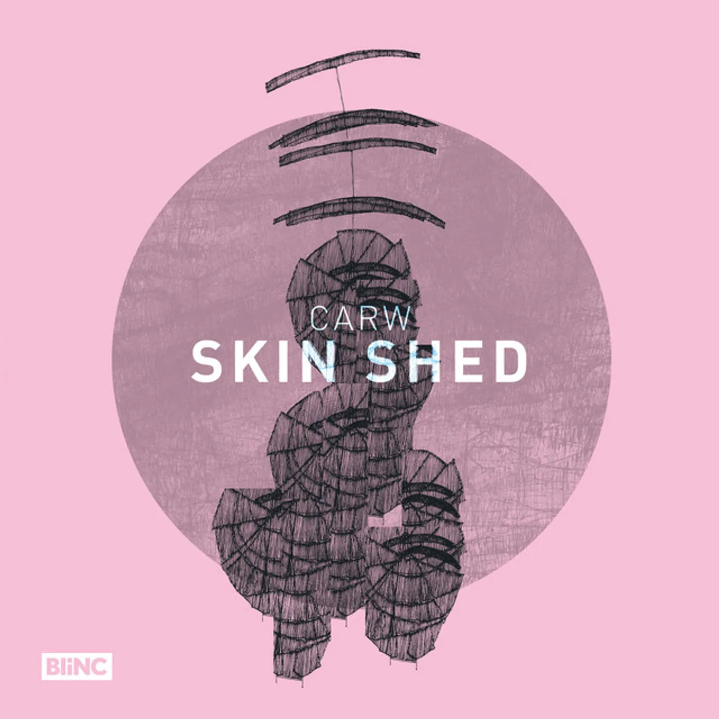 Carw Skin Shed Vinyl Record