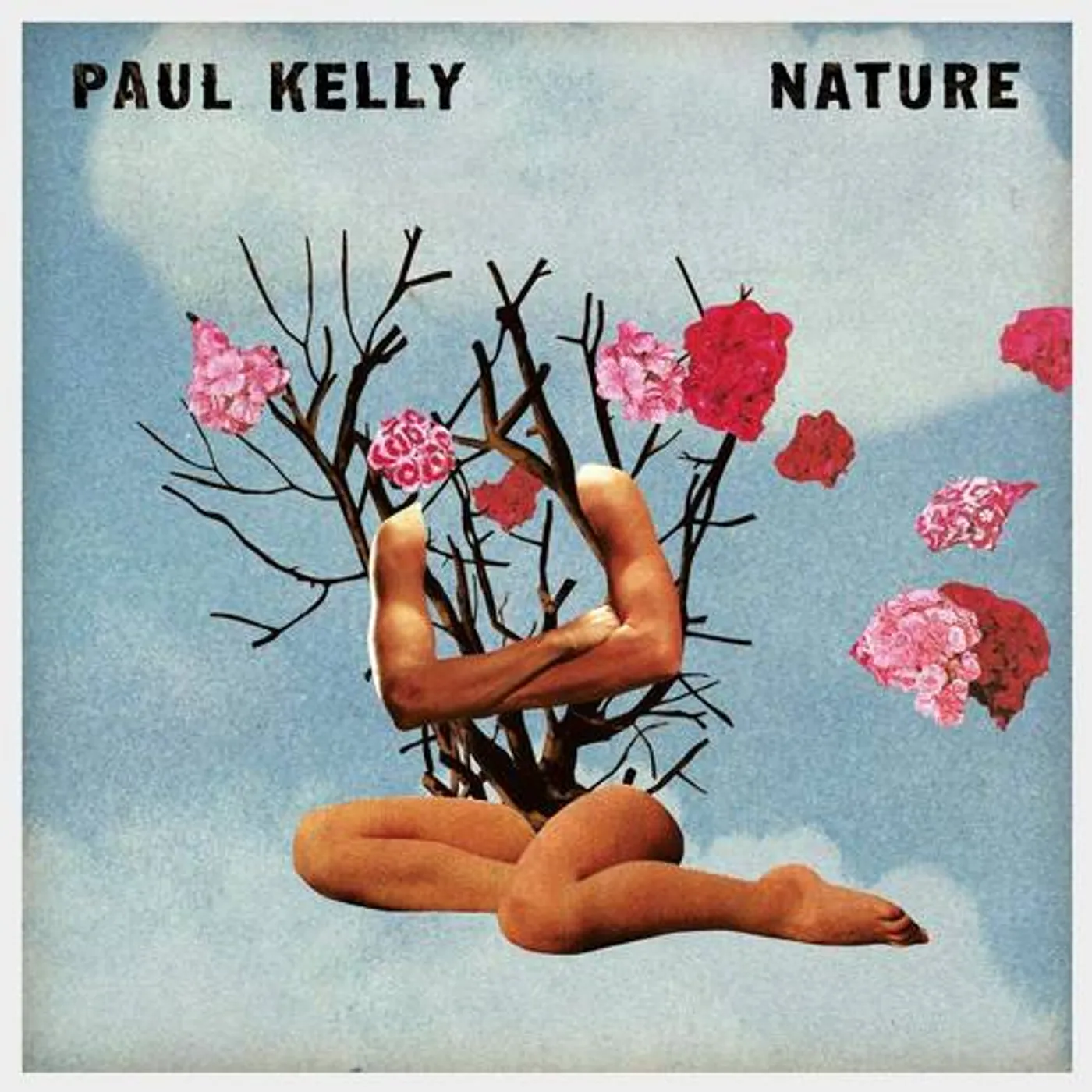 Paul Kelly Nature Vinyl Record
