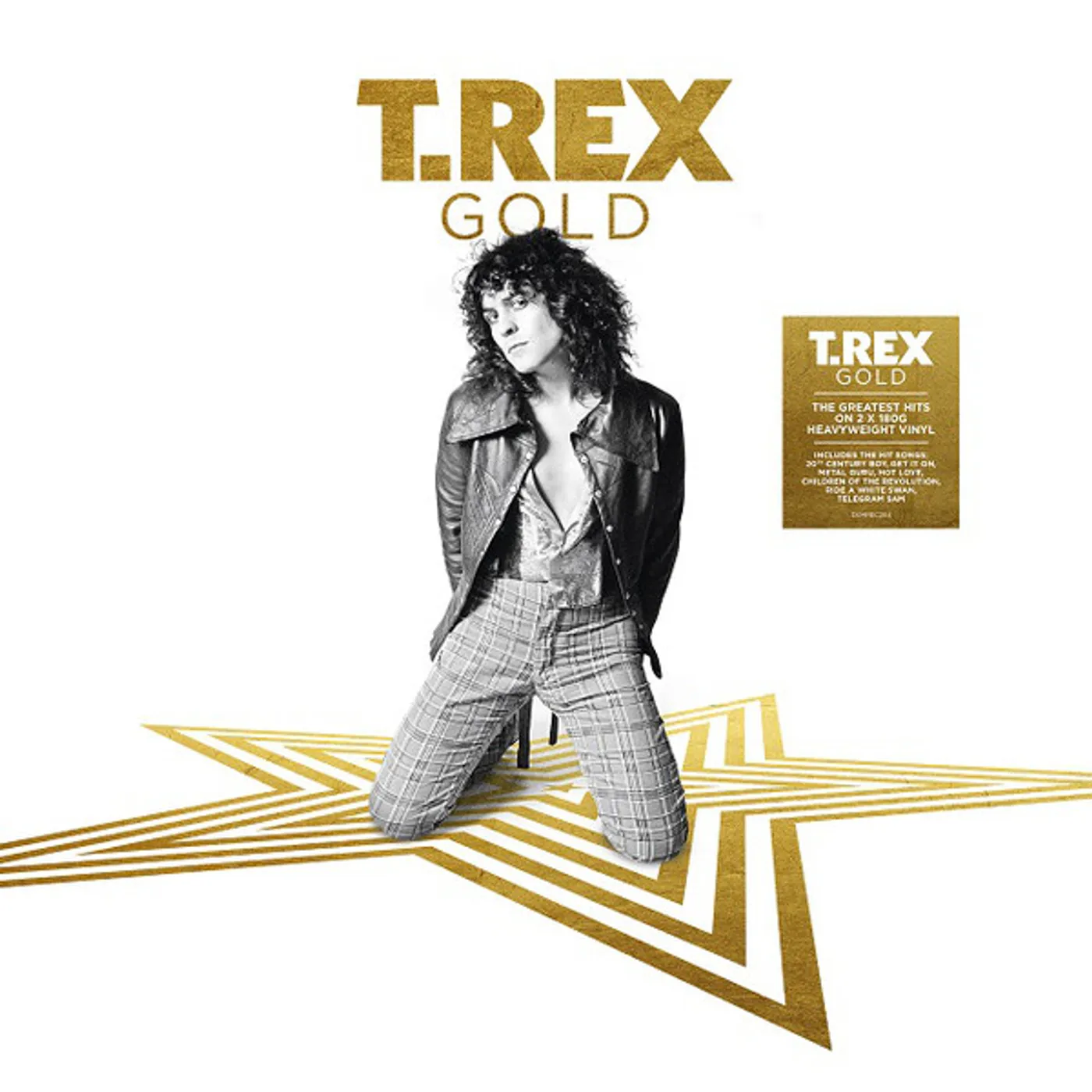 T. Rex Gold Vinyl Record