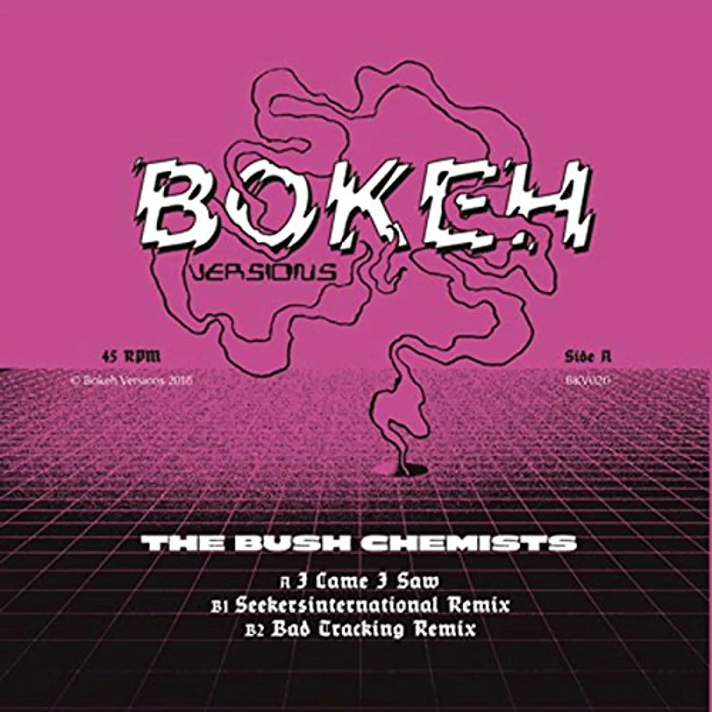 The Bush Chemists I CAME I SAW REMIXES Vinyl Record