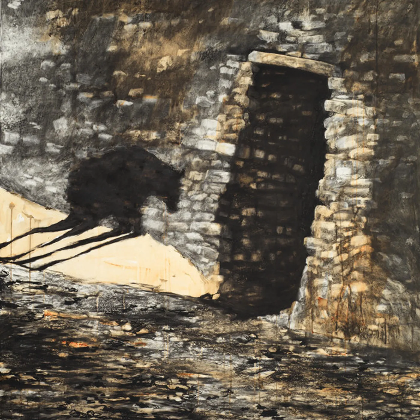 Anicon Entropy Mantra Vinyl Record