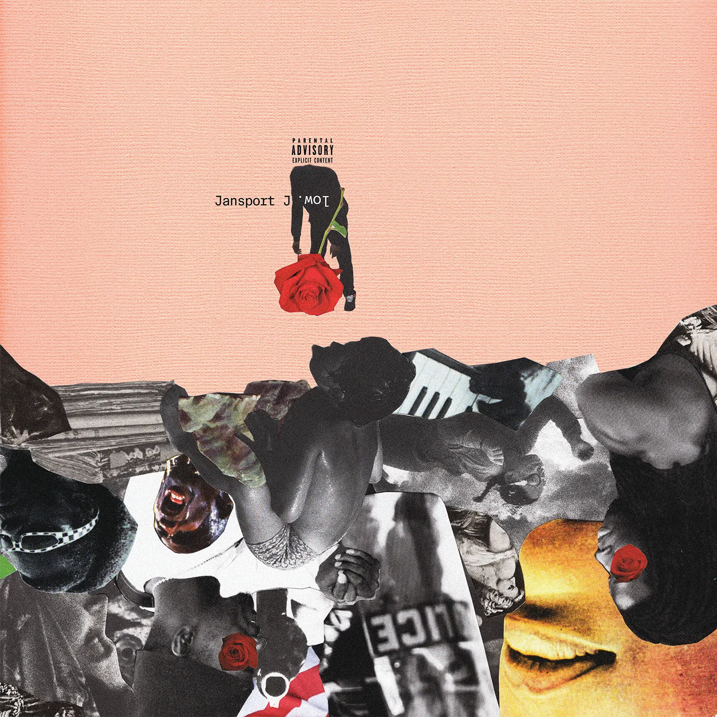 Jansport J LOW Vinyl Record