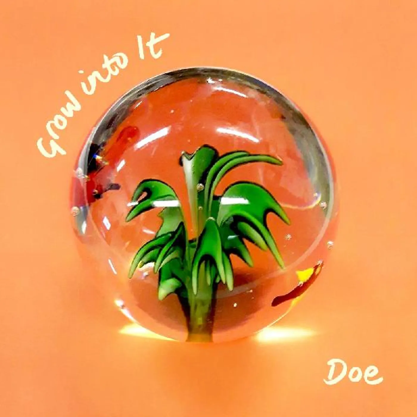 Doe GROW INTO IT CD