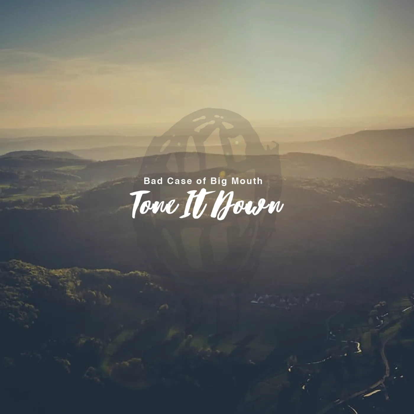 Bad Case of Big Mouth TONE IT DOWN CD