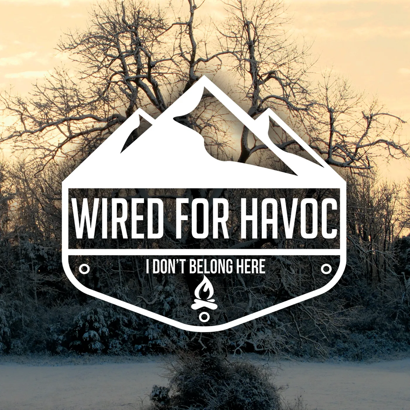 Wired for Havoc I DON'T BELONG HERE CD