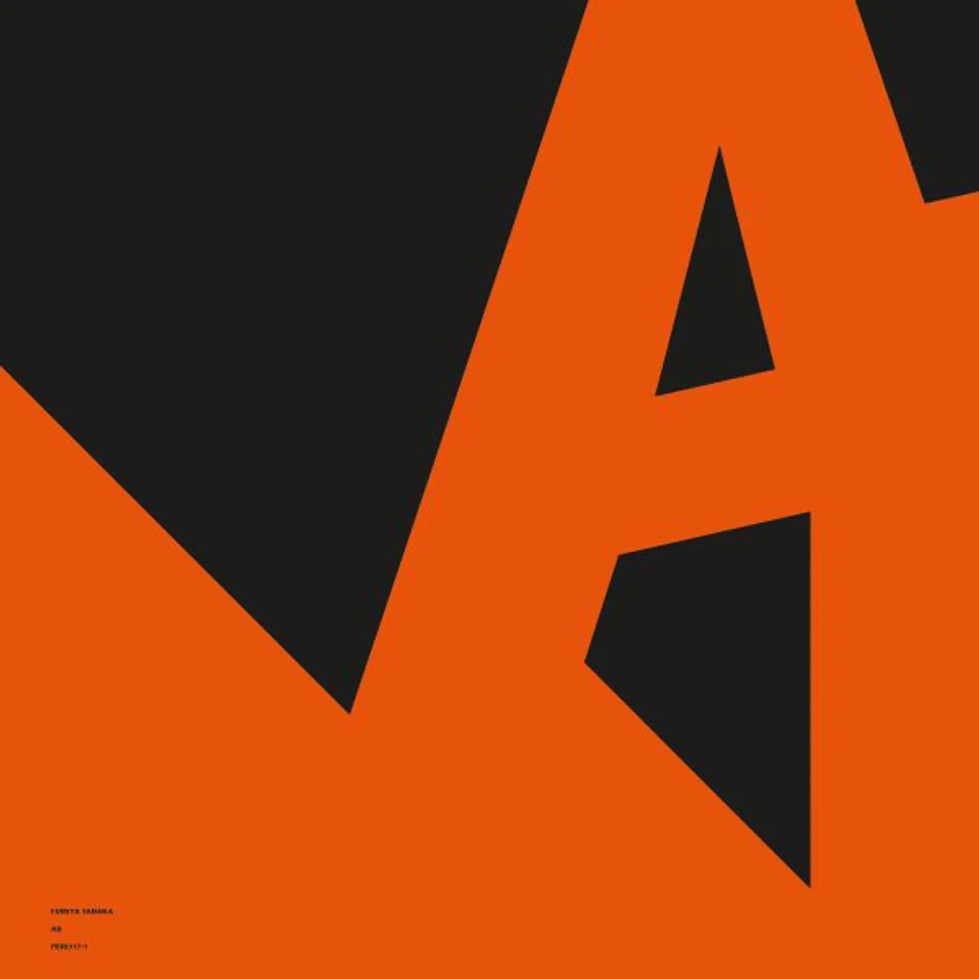 Fumiya Tanaka AB Vinyl Record