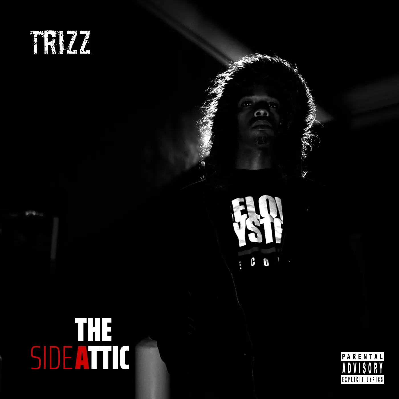 Trizz ATTIC CD
