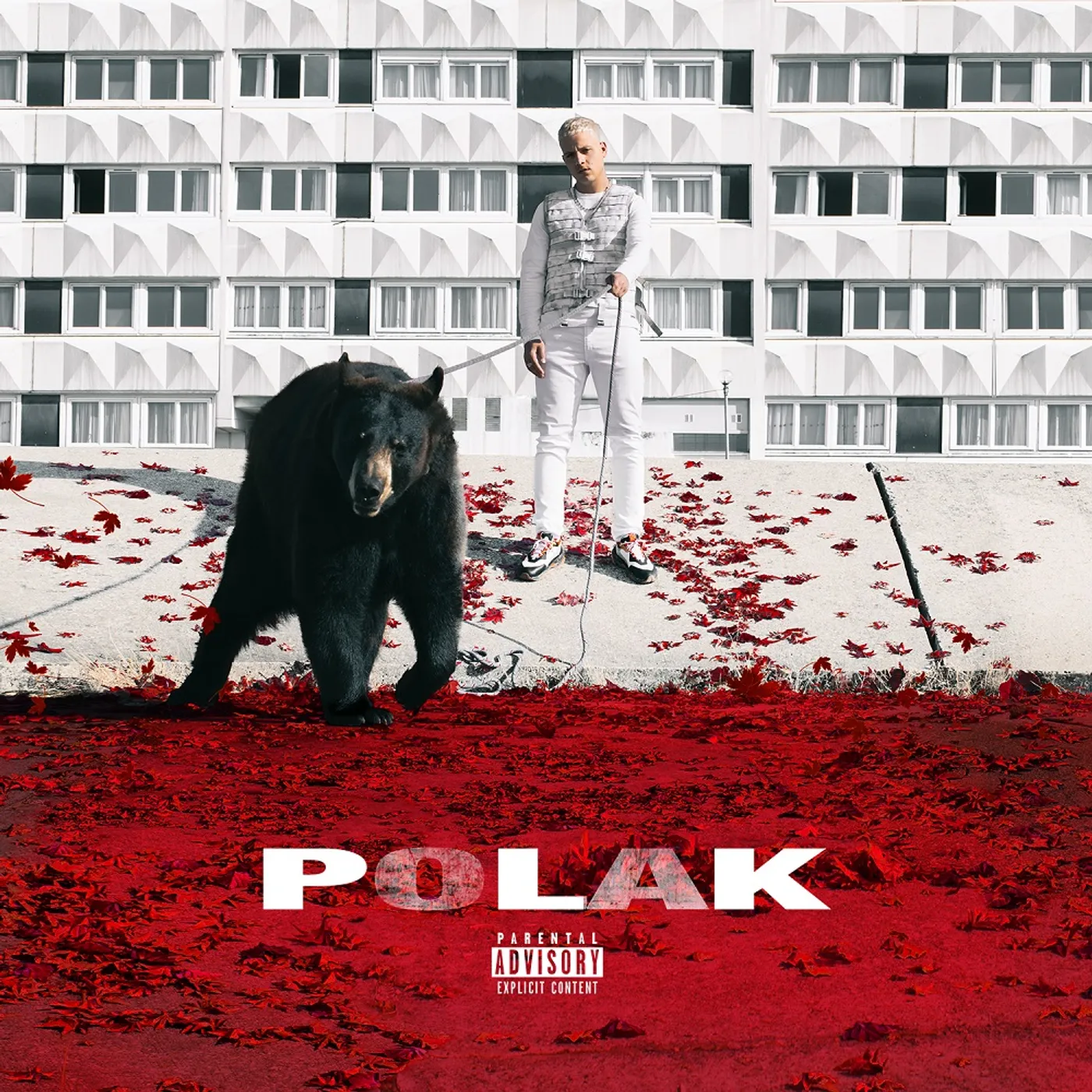 PLK Polak Vinyl Record