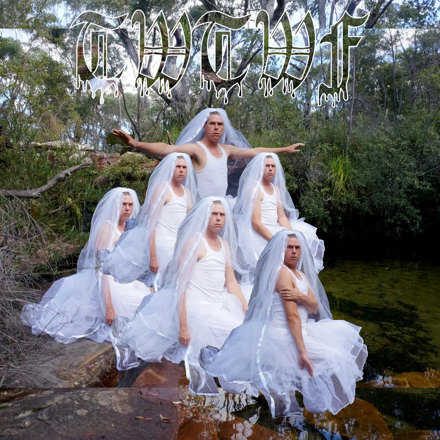 Liars Titles With The Word Fountain Vinyl Record