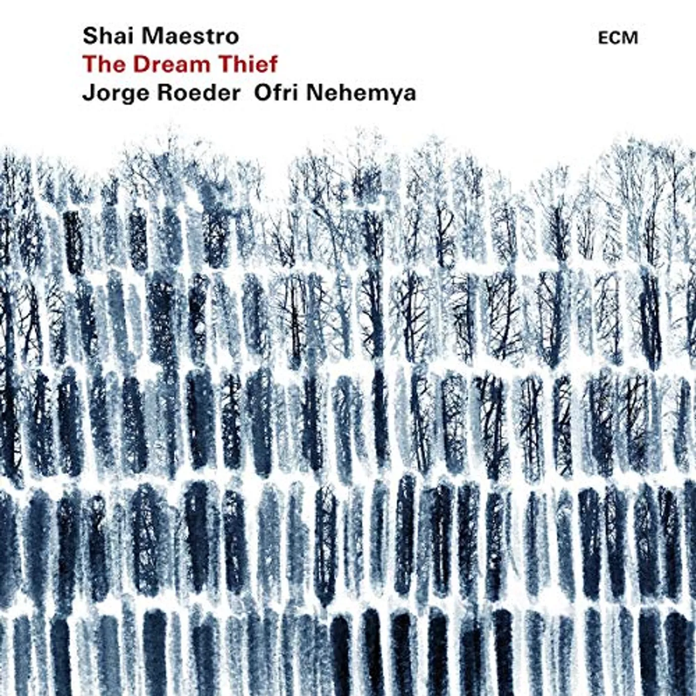 Shai Maestro DREAM THIEF Vinyl Record