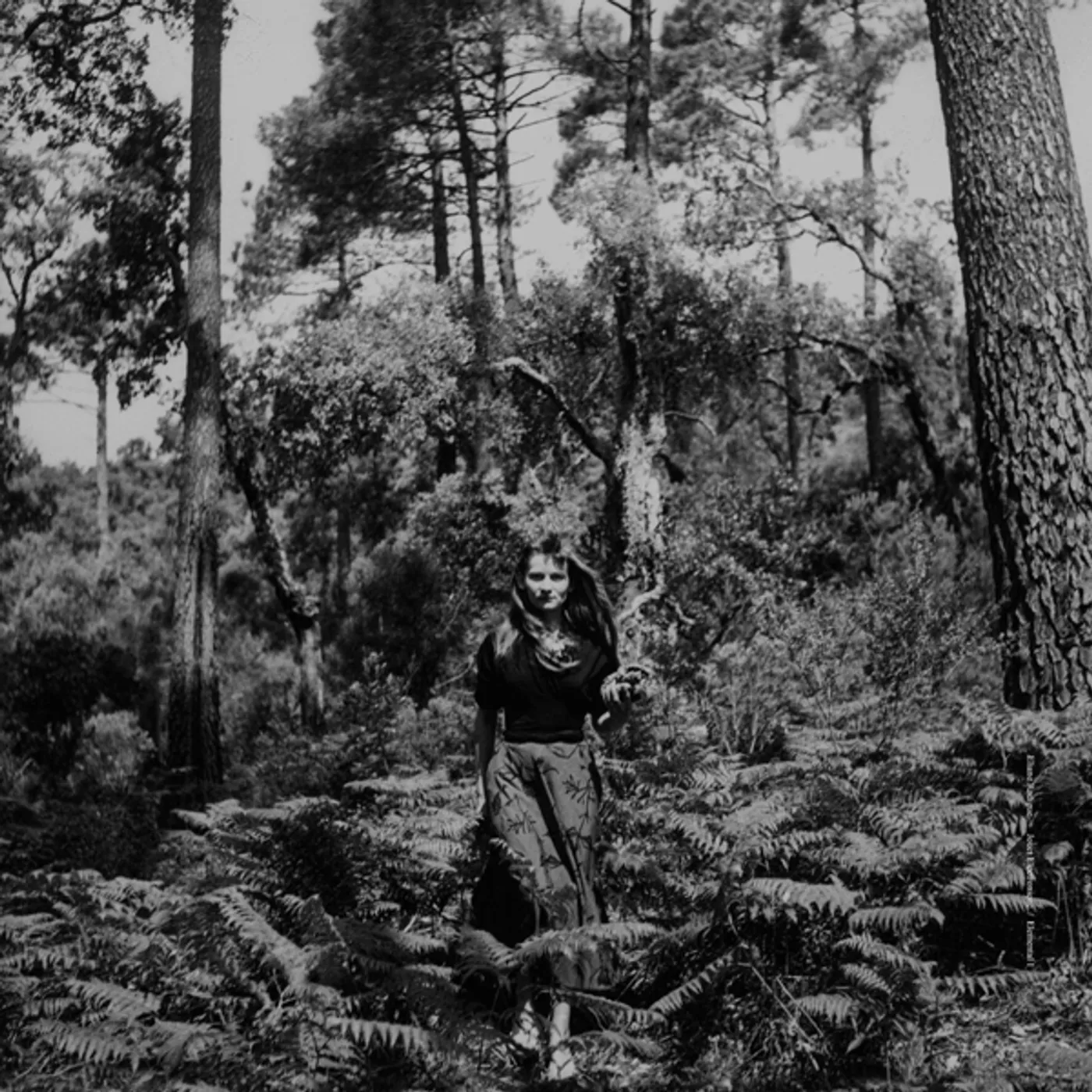 Éliane Radigue JOUET ELECTRONIQUE / ELEMENTAL I Vinyl Record