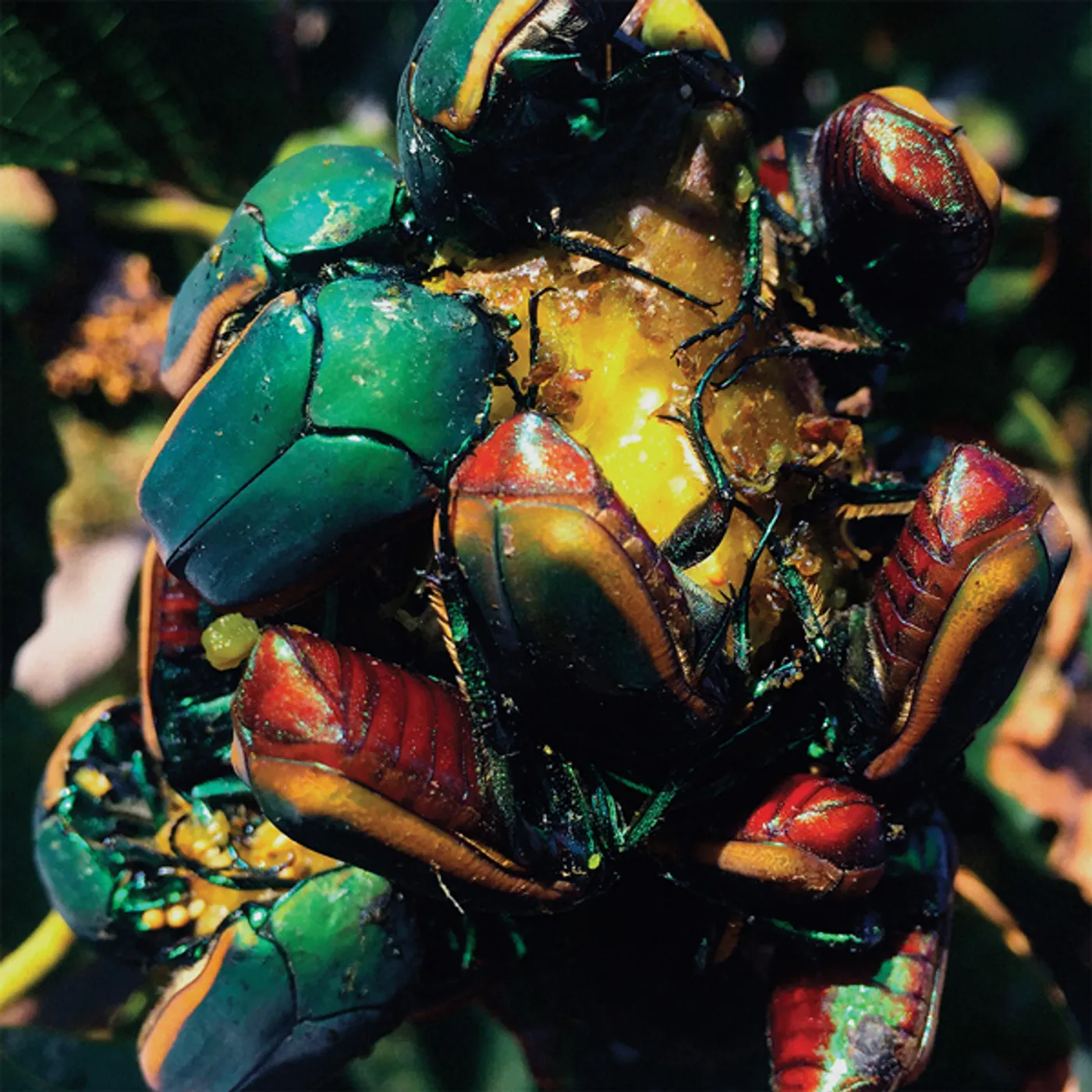 Tajak Ciclos Vinyl Record