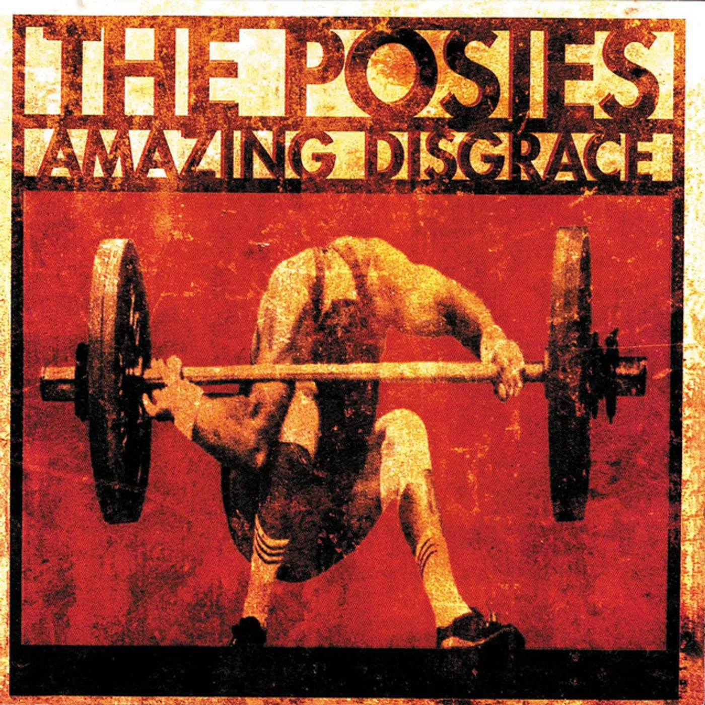 The Posies Amazing Disgrace Vinyl Record