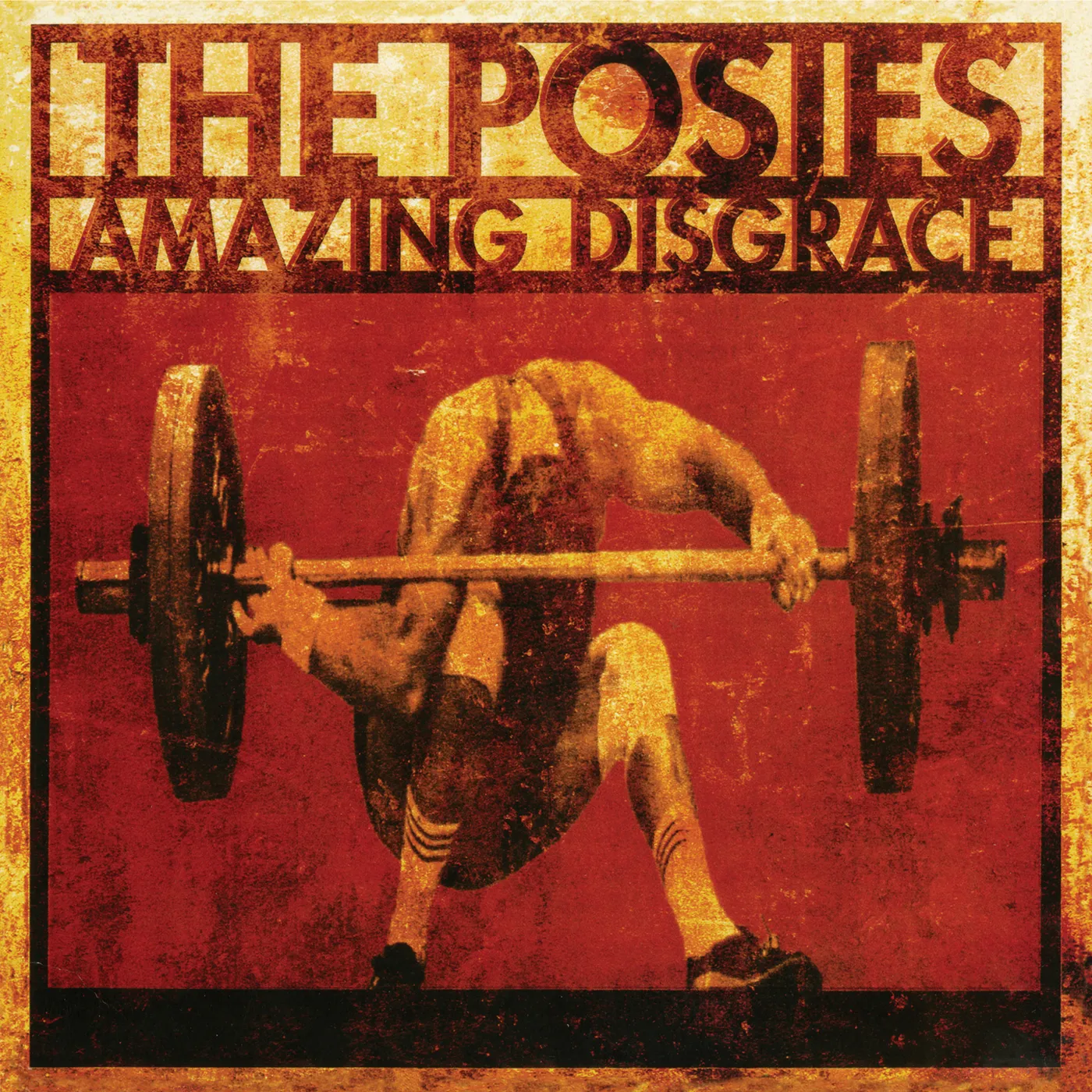 The Posies Amazing Disgrace Vinyl Record