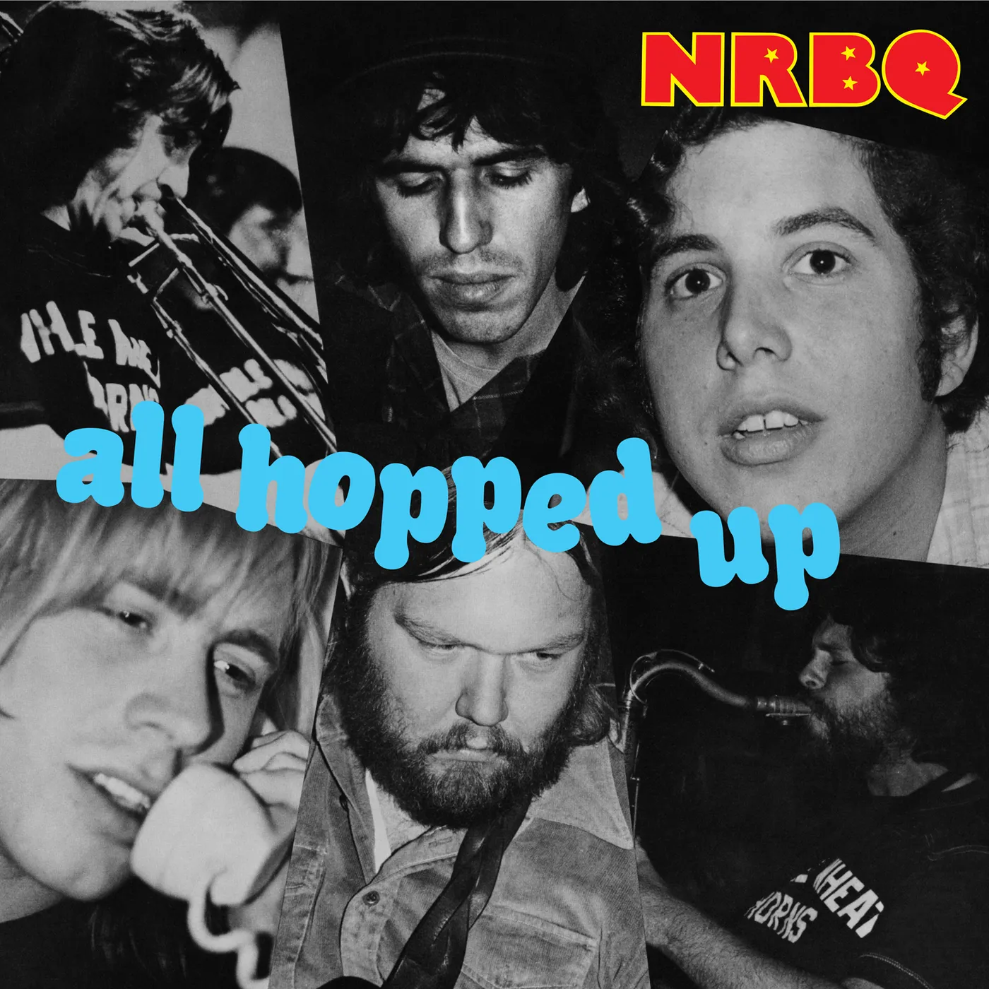 NRBQ All Hopped Up Vinyl Record