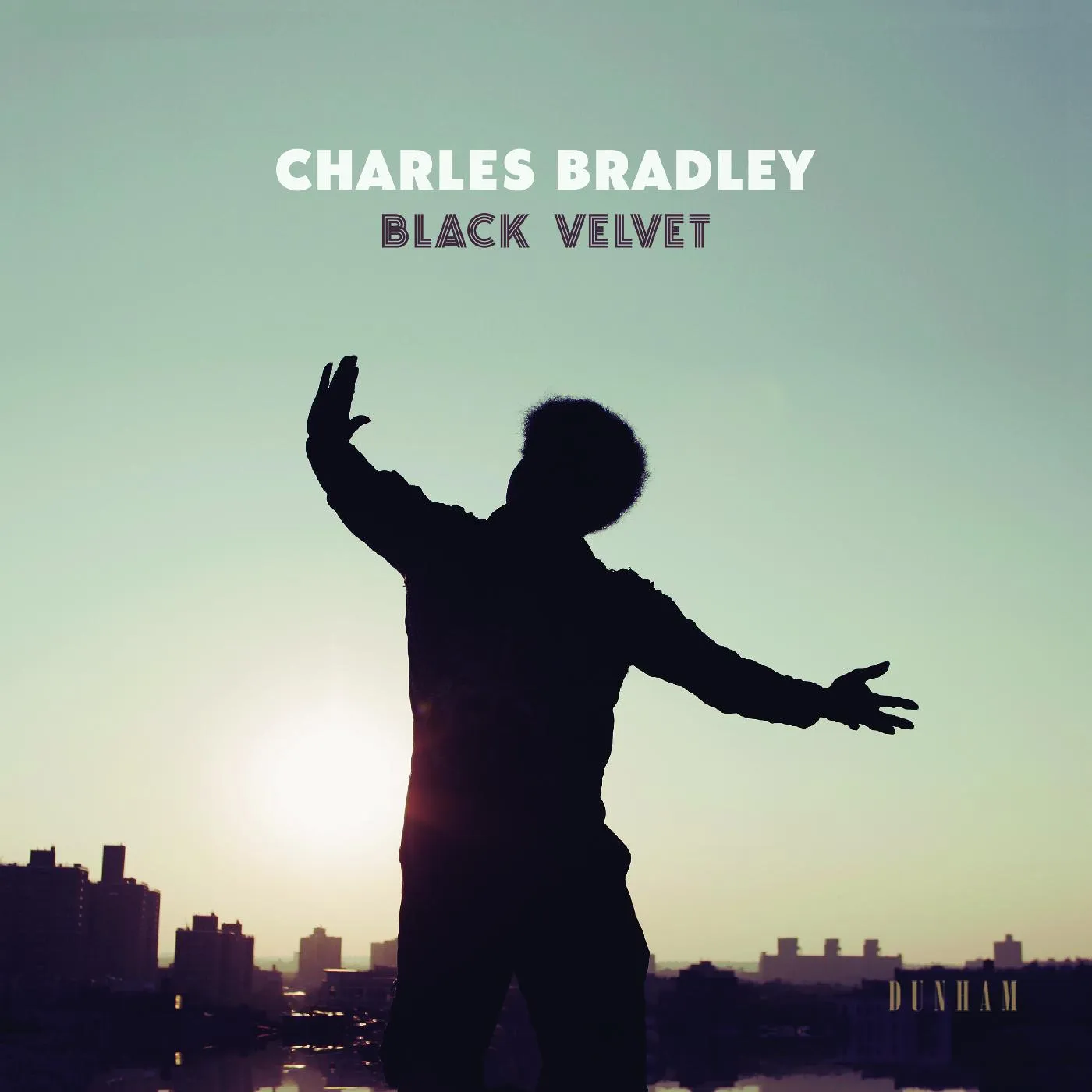 Charles Bradley BLACK VELVET (DL CODE) Vinyl Record