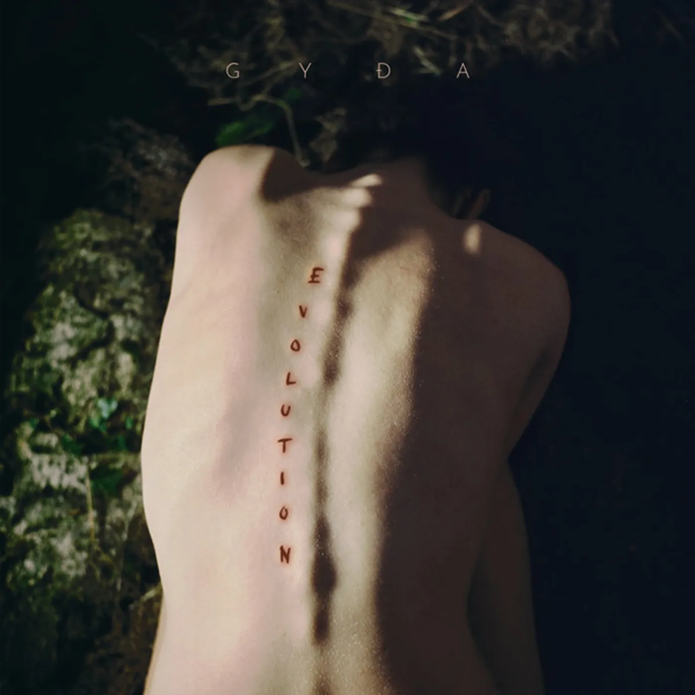 Gyda Valtysdottir EVOLUTION Vinyl Record