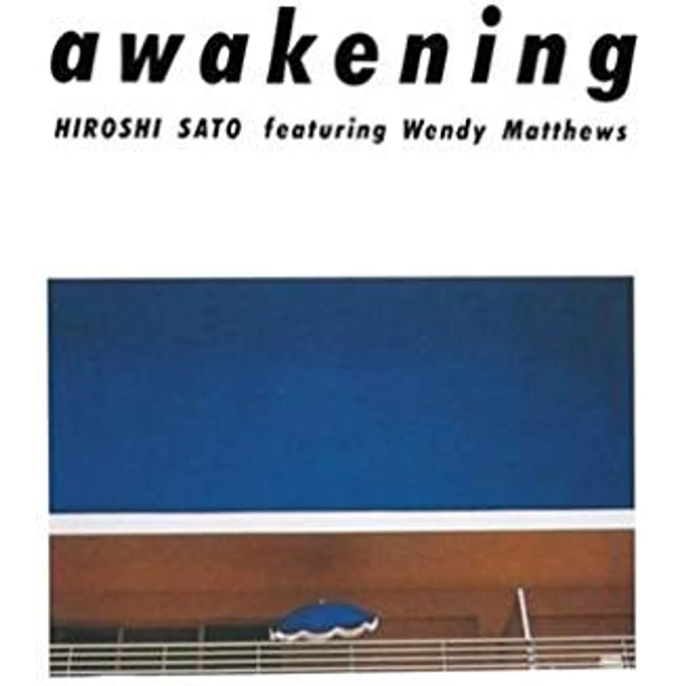 Hiroshi Sato Awakening Vinyl Record