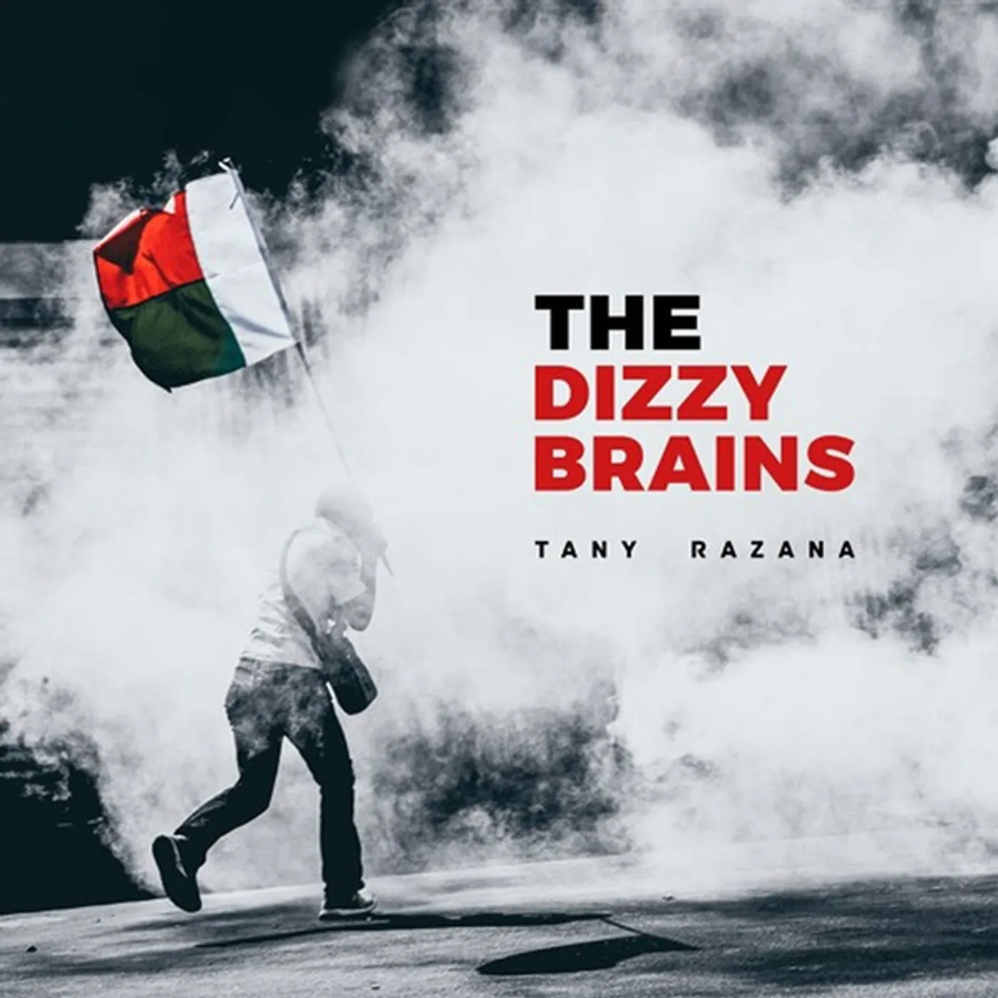 The Dizzy Brains Tany Razana Vinyl Record