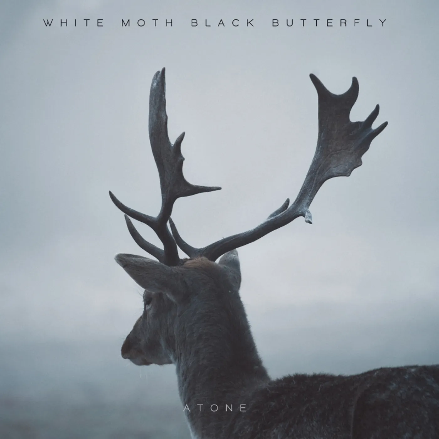 White Moth Black Butterfly ATONE CD