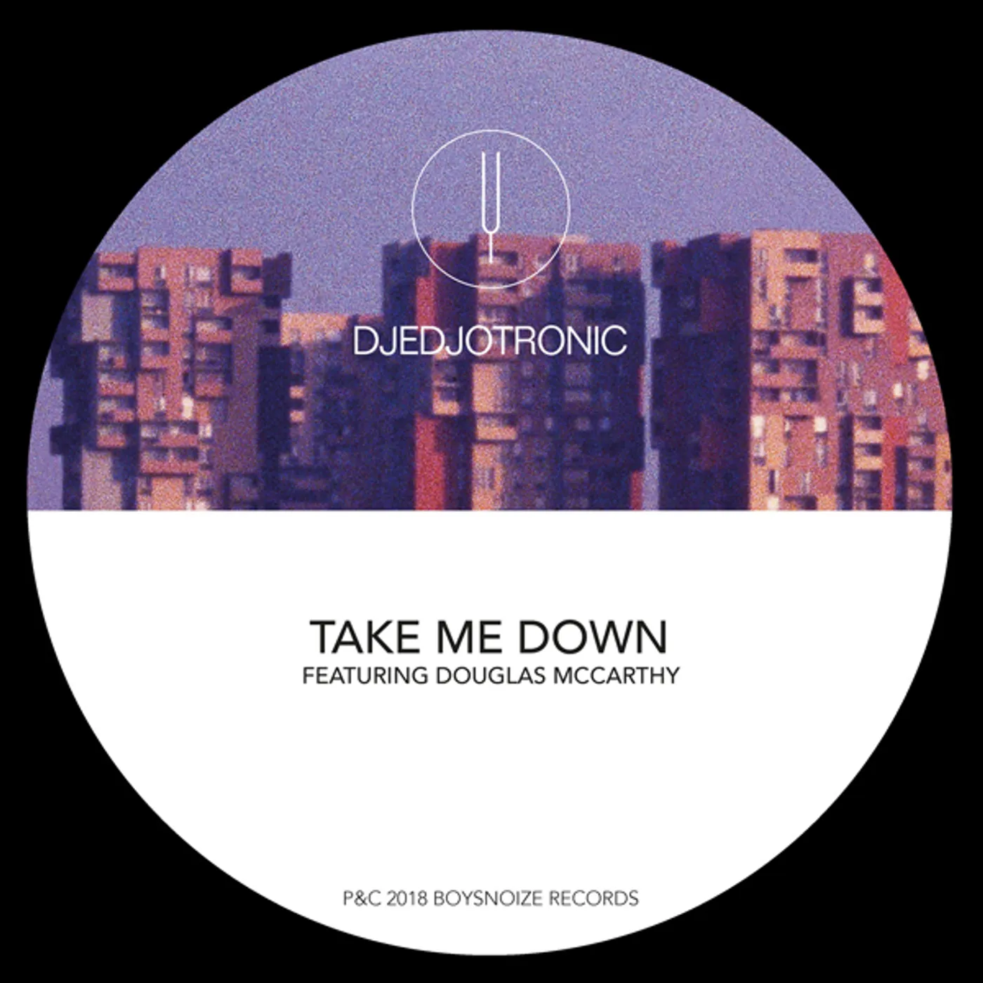 Djedjotronic Take Me Down Vinyl Record