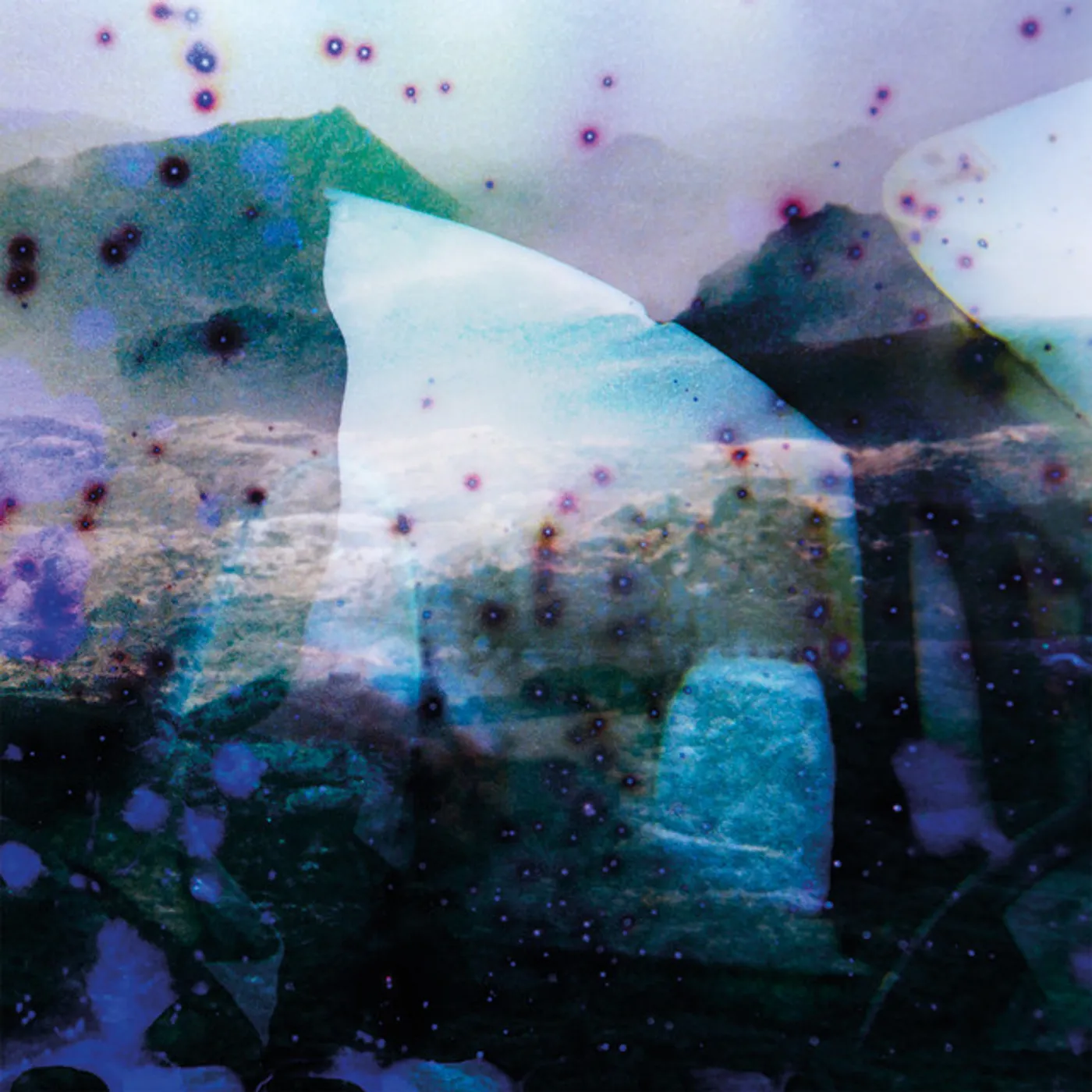 Reinier van Houdt Igitur Carbon Copies Vinyl Record