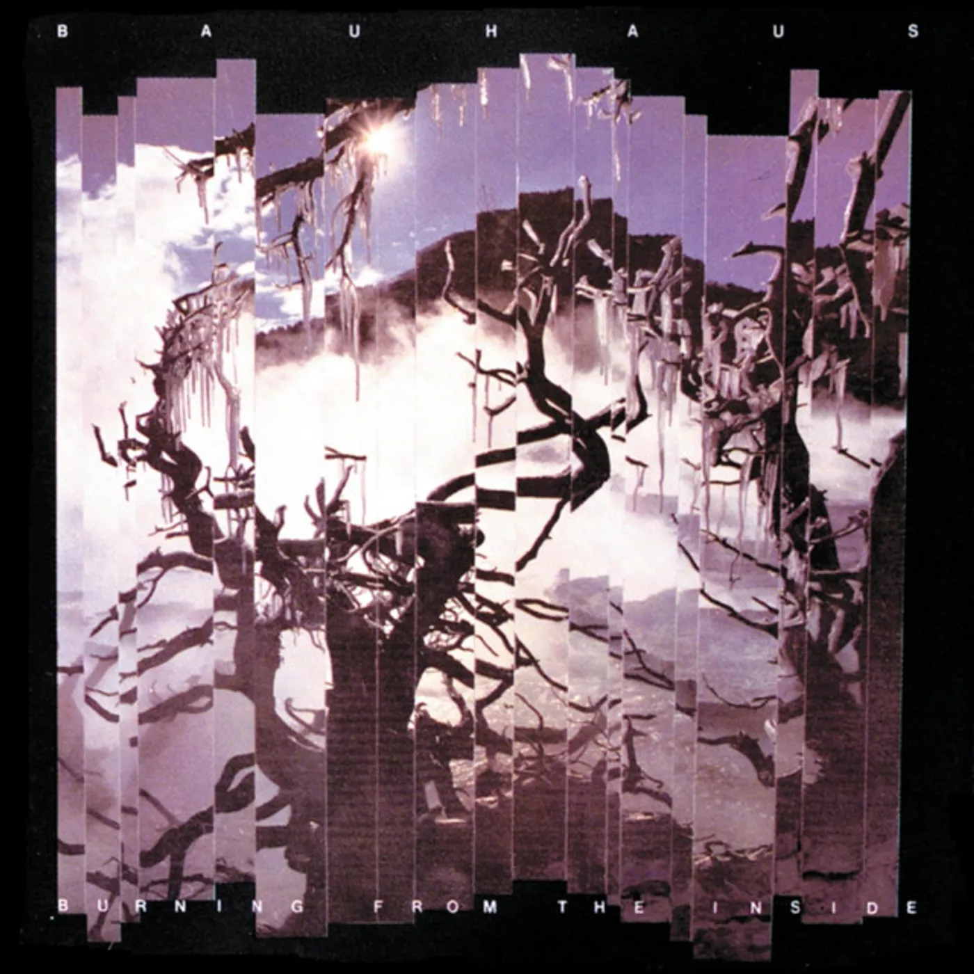 Bauhaus Burning From The Inside Vinyl Record