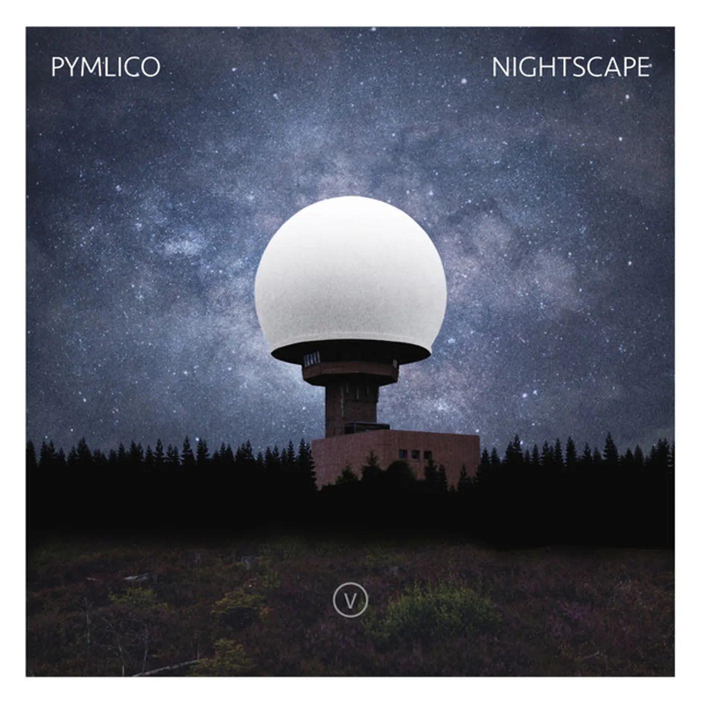 Pymlico Nightscape Vinyl Record