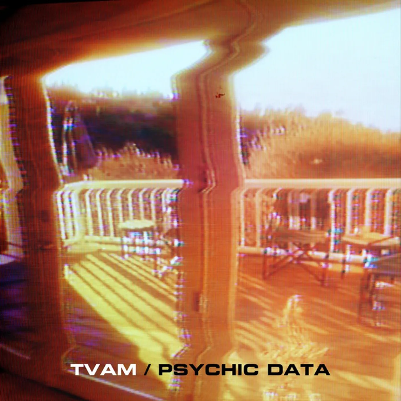 TVAM Psychic Data Vinyl Record