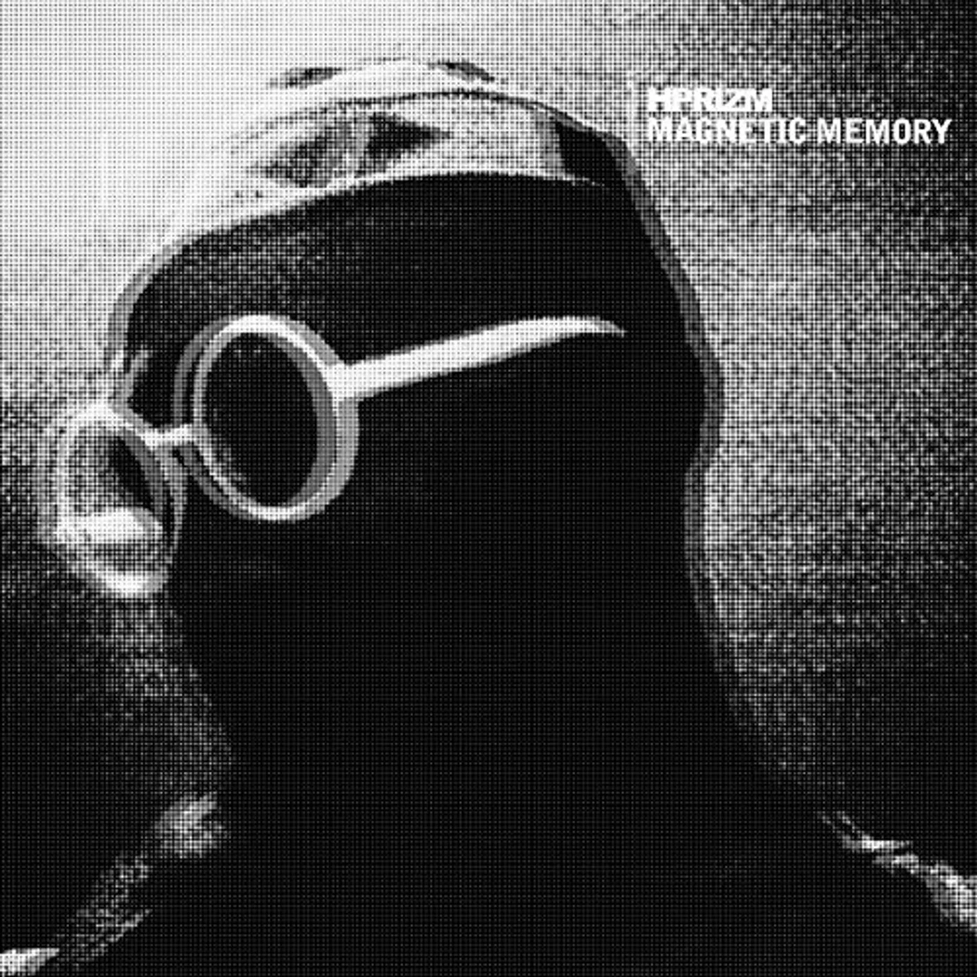 Hprizm Magnetic Memory Vinyl Record