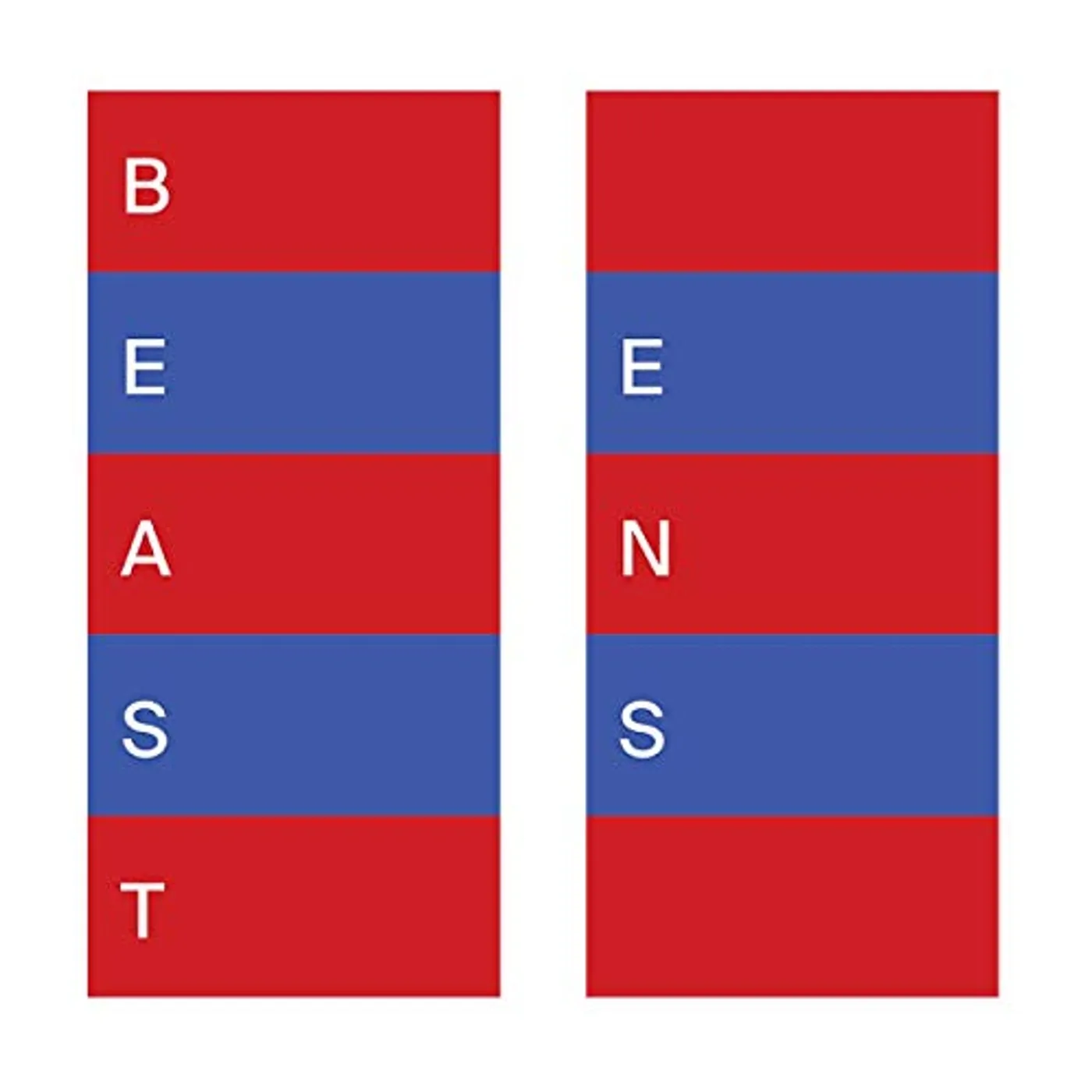 BEAST! ENS Vinyl Record