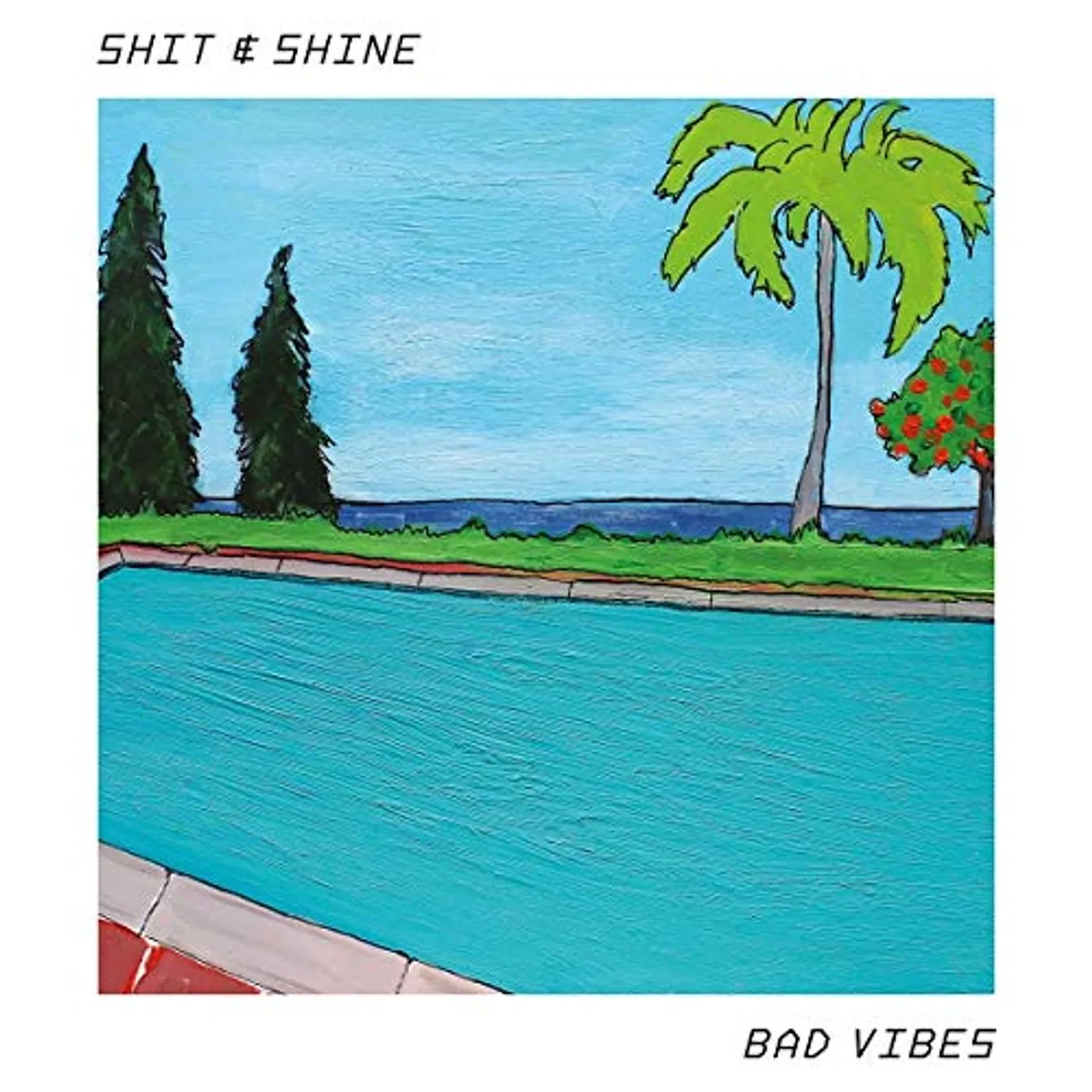 Shit And Shine Bad Vibes Vinyl Record