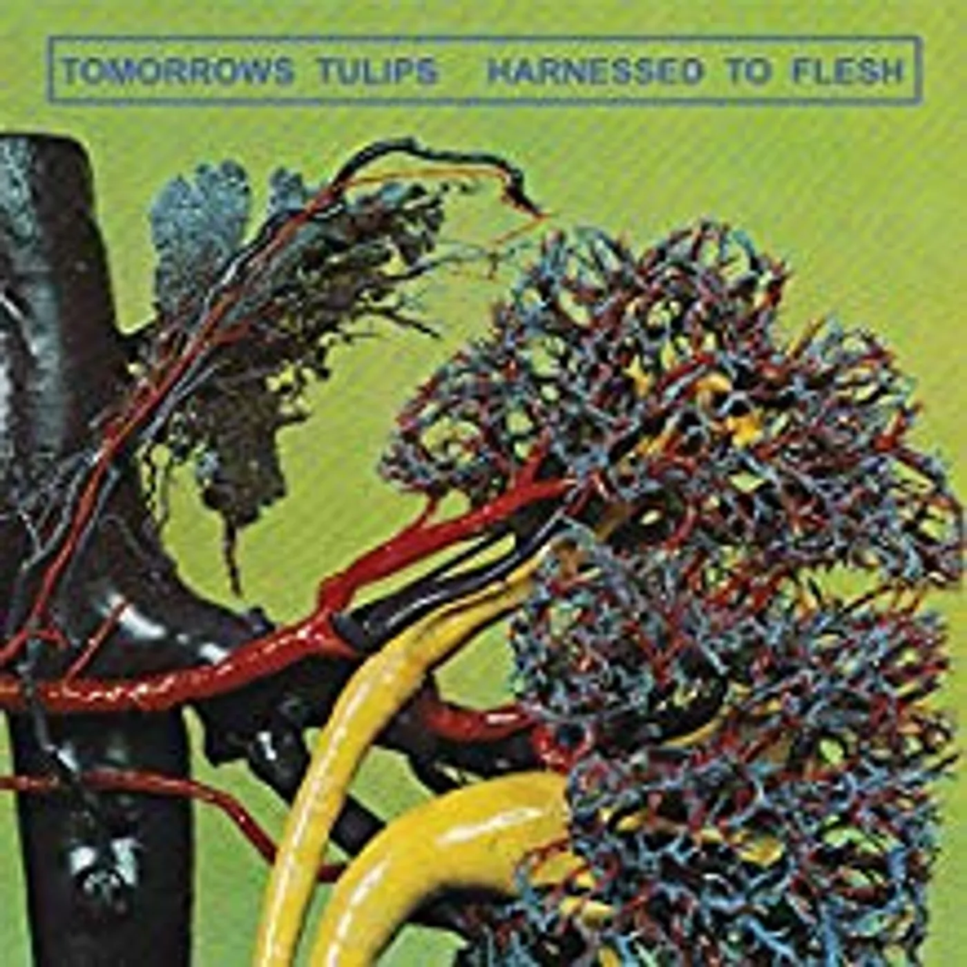 Tomorrows Tulips Harnessed to Flesh Vinyl Record