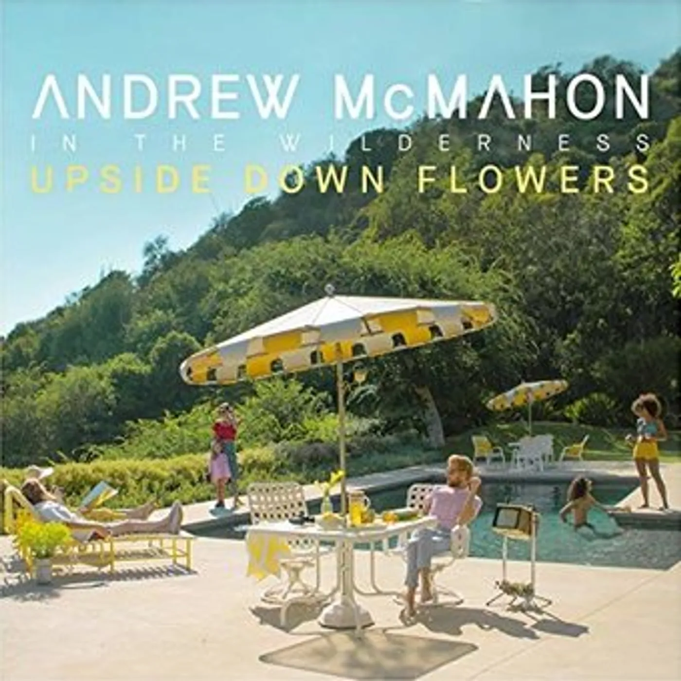 Andrew McMahon in the Wilderness Upside Down Flowers Vinyl Record