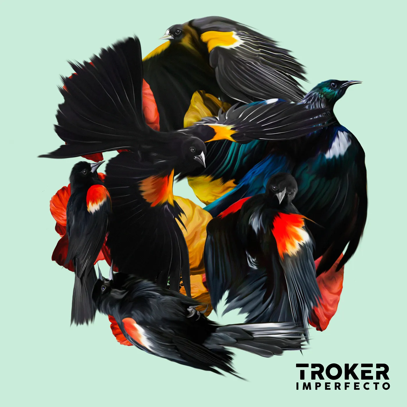 Troker IMPERFECTO CD