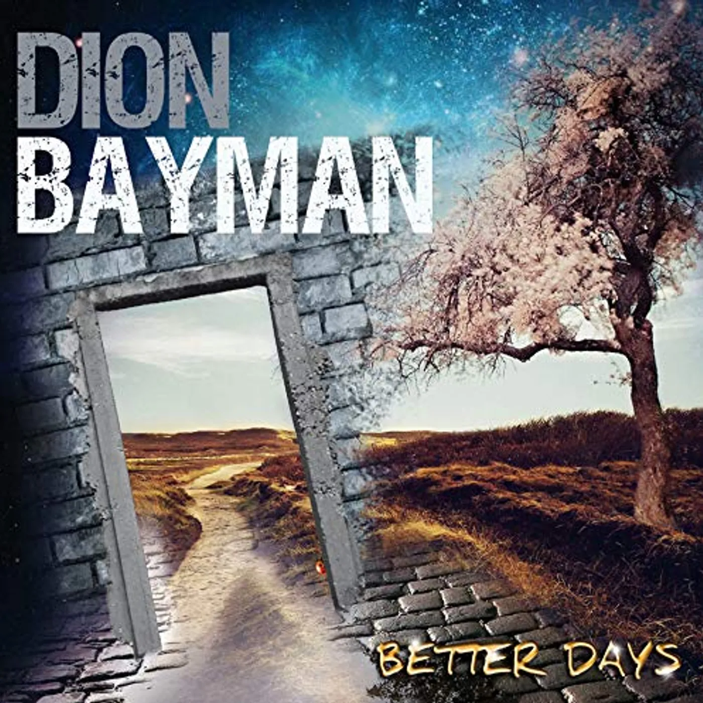 Dion Bayman BETTER DAYS CD