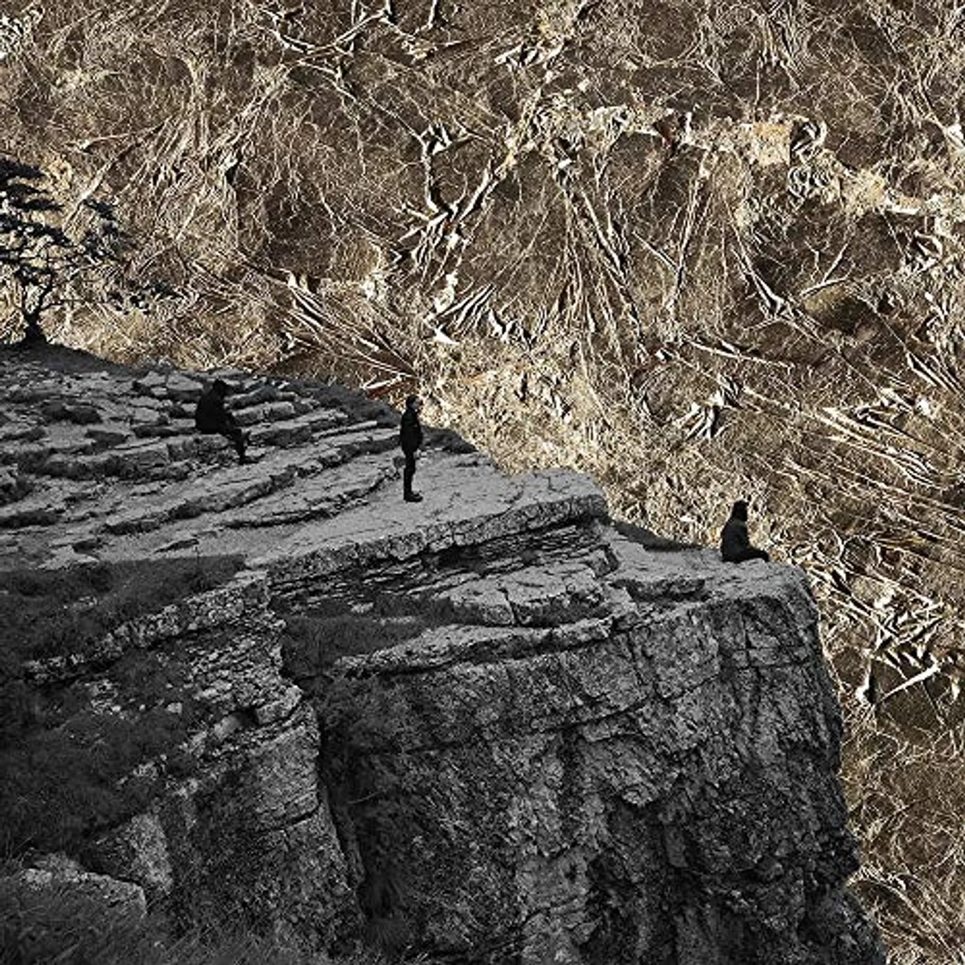 Esben and the Witch Nowhere Vinyl Record