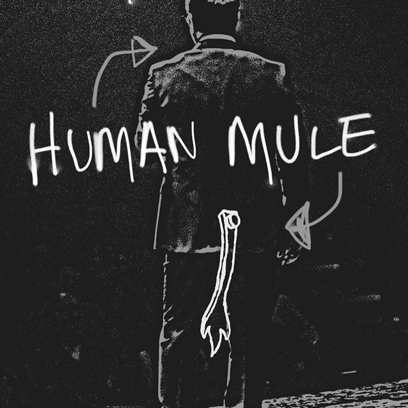 Tom Papa HUMAN MULE DVD