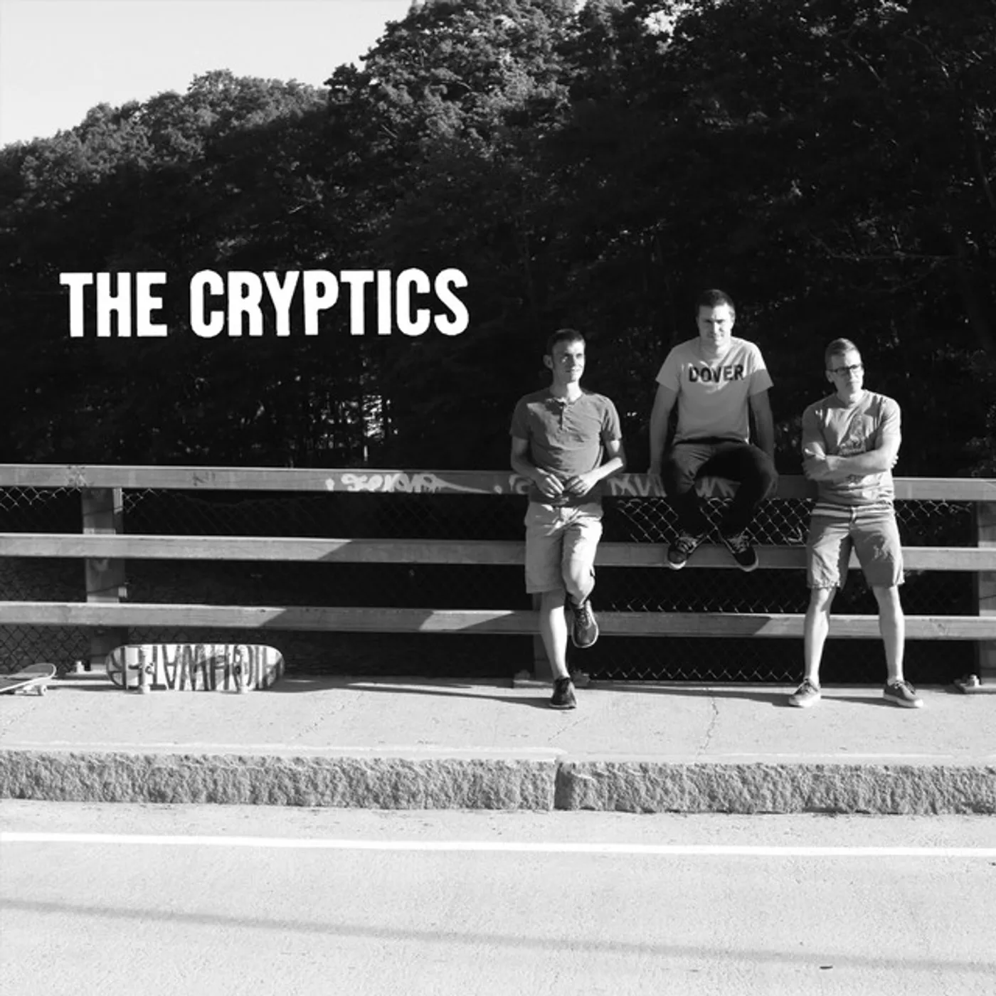 The Cryptics Vinyl Record