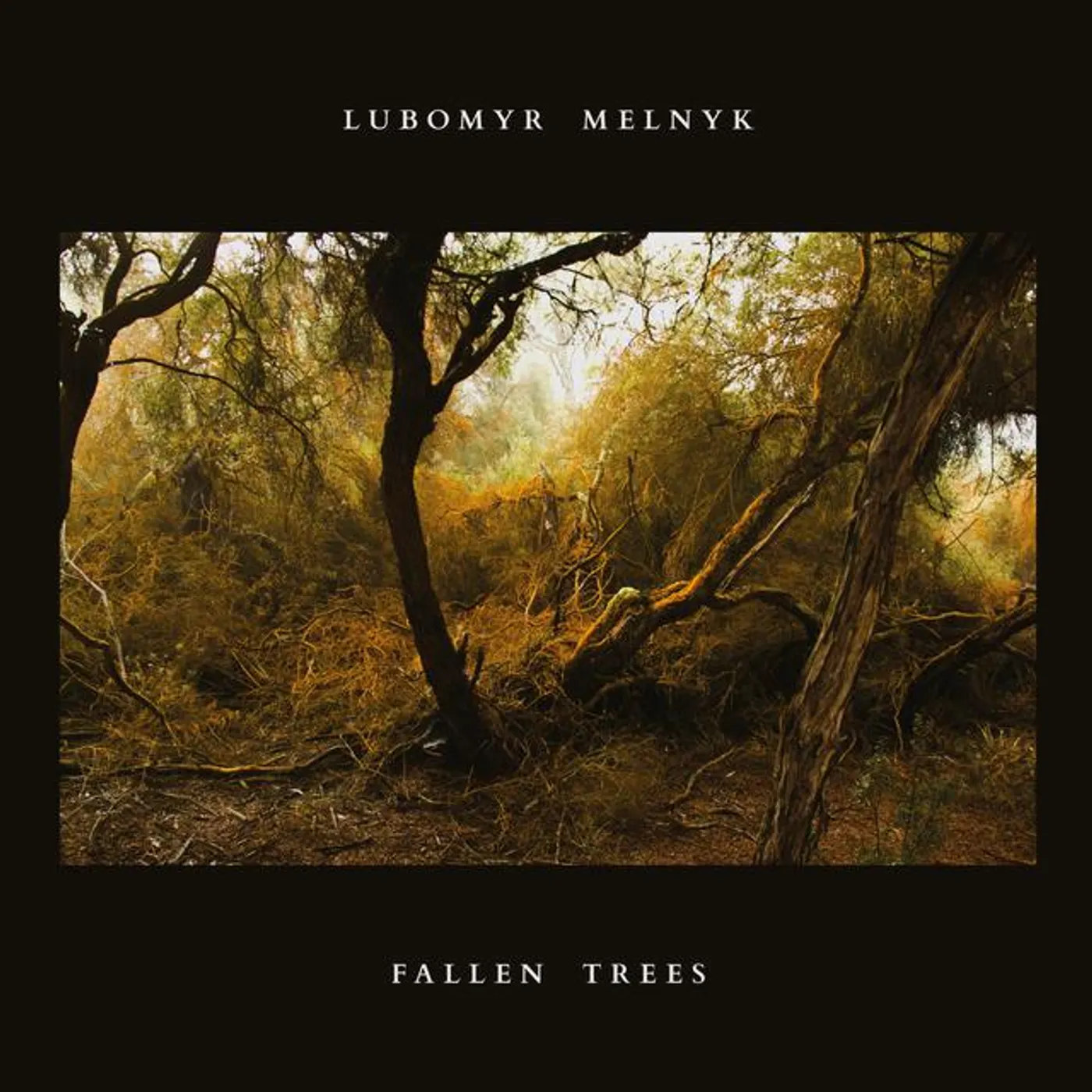 Lubomyr Melnyk FALLEN TREES Vinyl Record