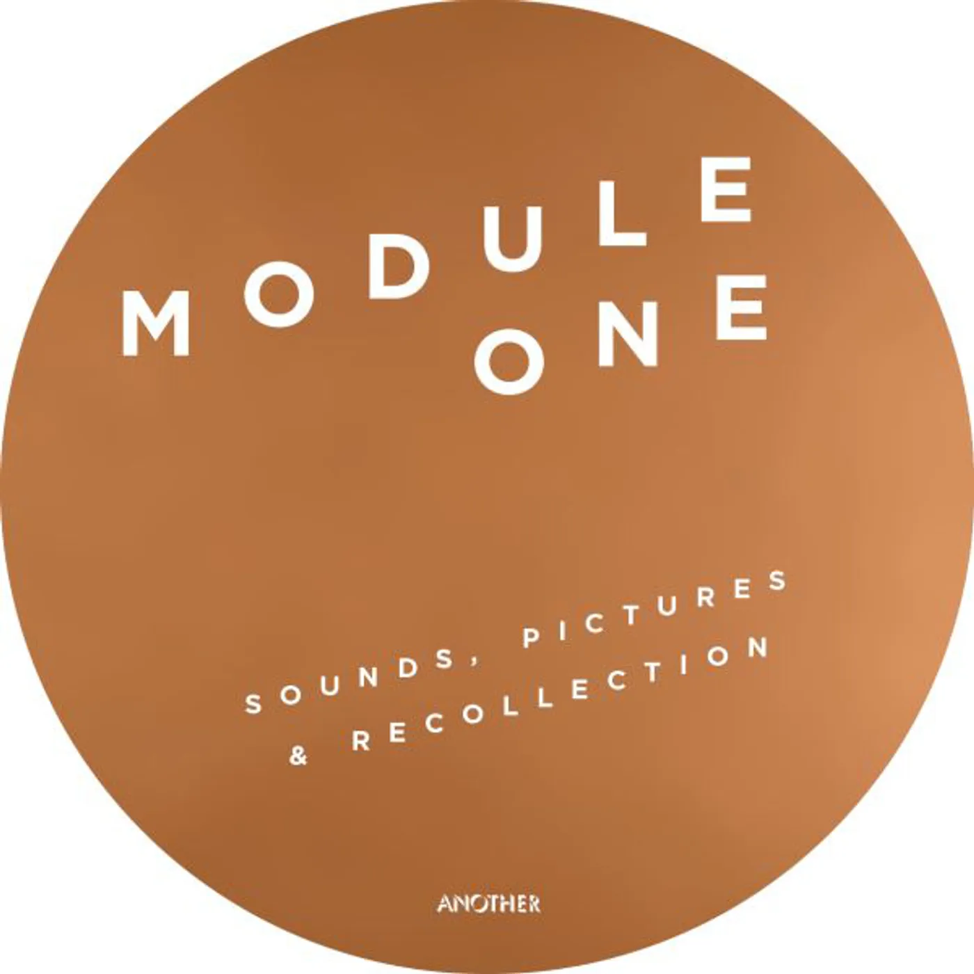 Module One SOUNDS & PICTURES & RECOLLECTIONS Vinyl Record
